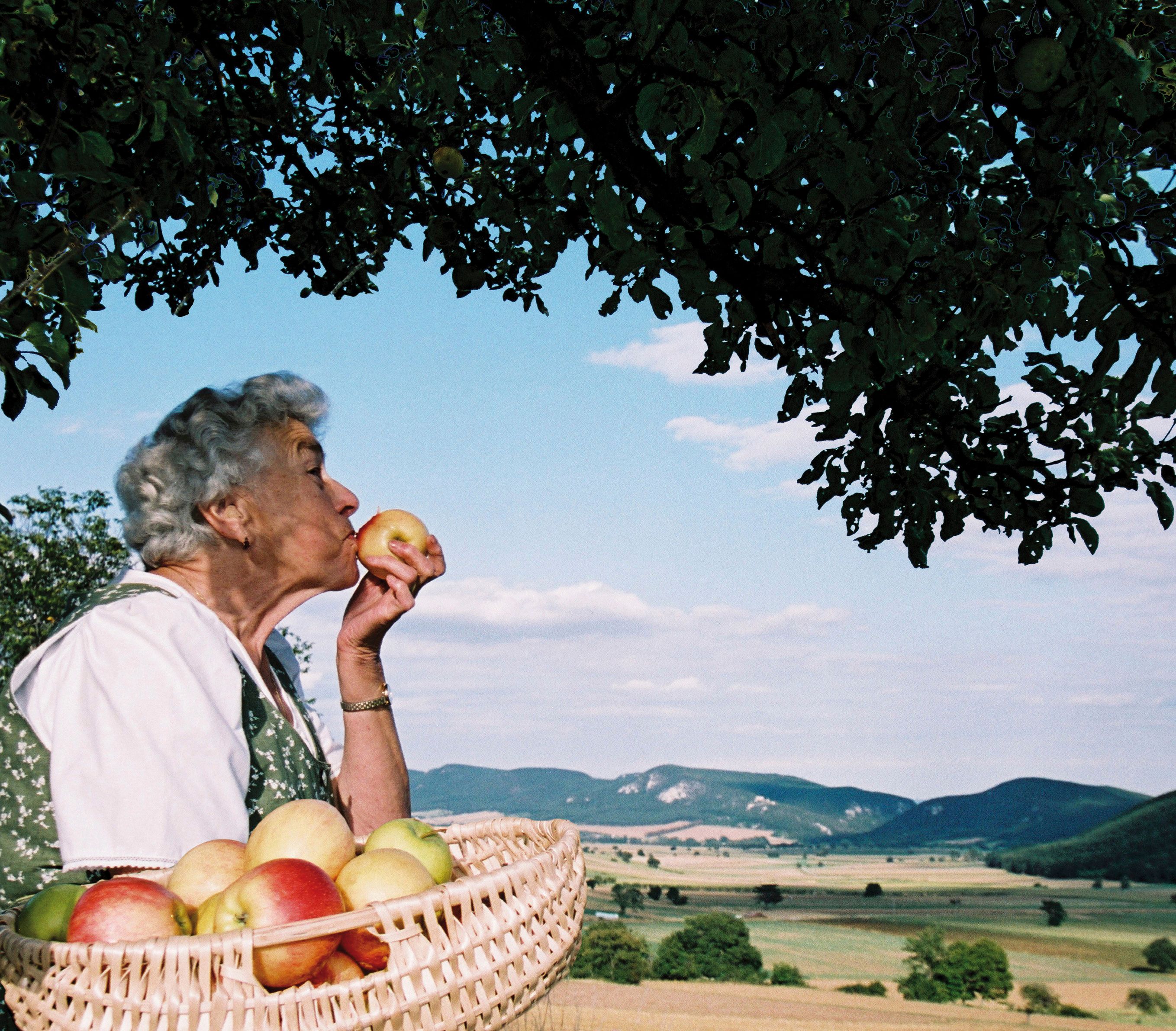 Elderly woman with a basket full of apples kissing an apple in front of a landscape with hills and blue sky.