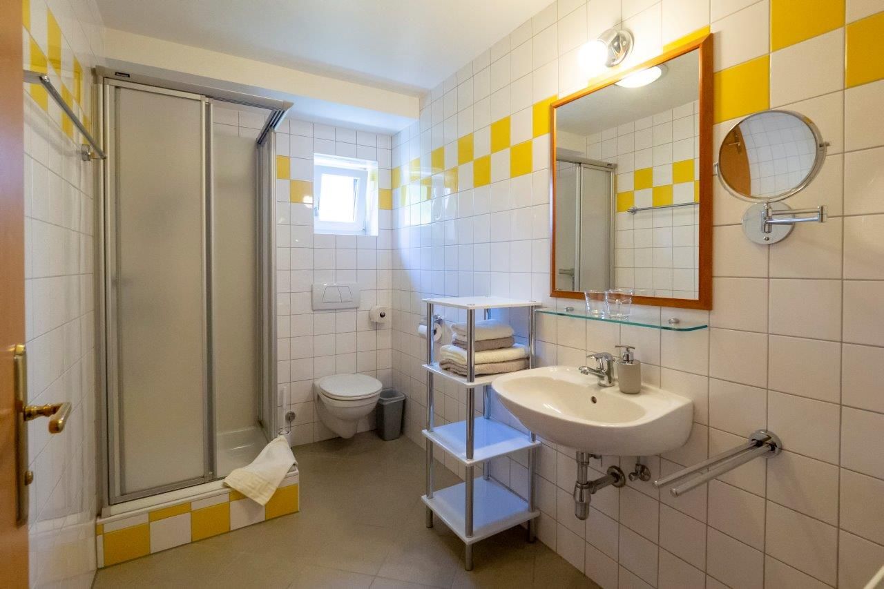 Bathroom with shower, WC, washbasin and mirror.