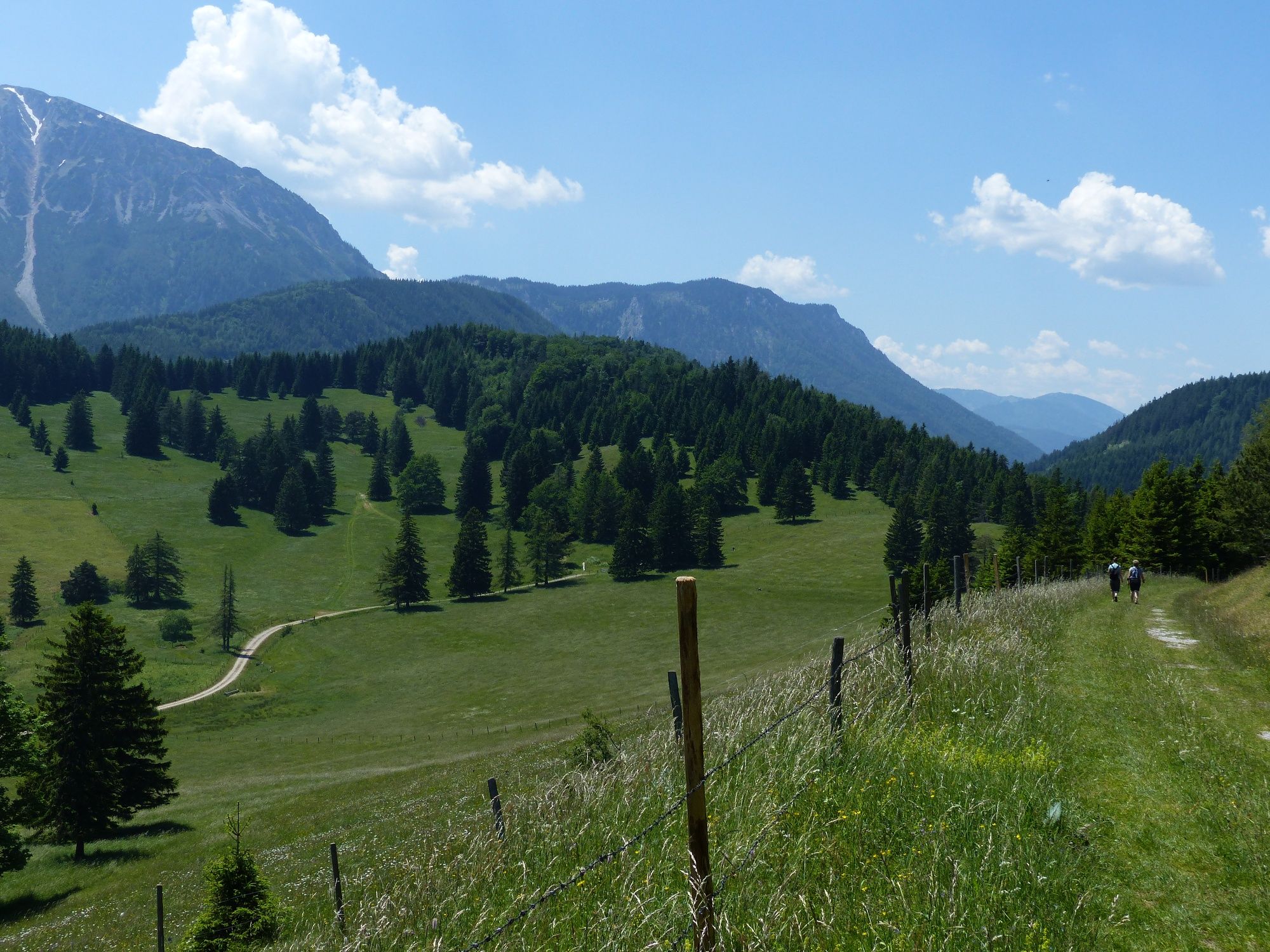 On the Mamauwiese in the direction of the Schoberalm