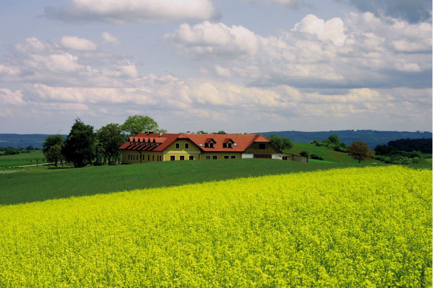 A farm with red roofs surrounded by green fields and yellow flowers under a cloudy sky.