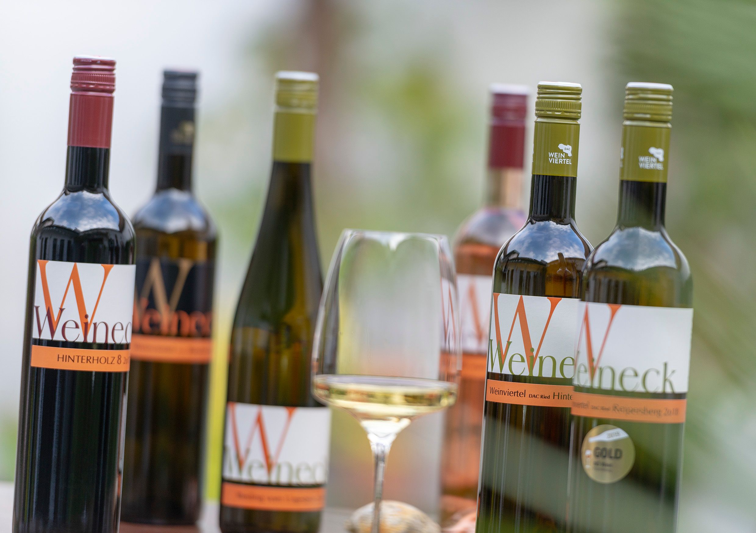 Various bottles of wine and a glass of white wine on a table.