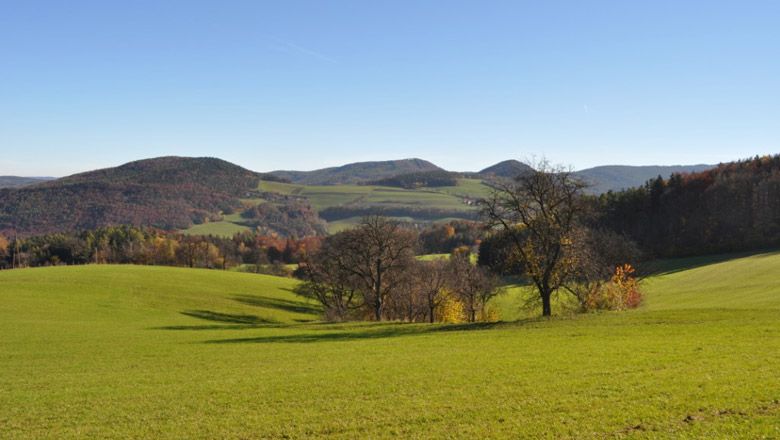 Hilly landscape with green meadows and trees under a blue sky.