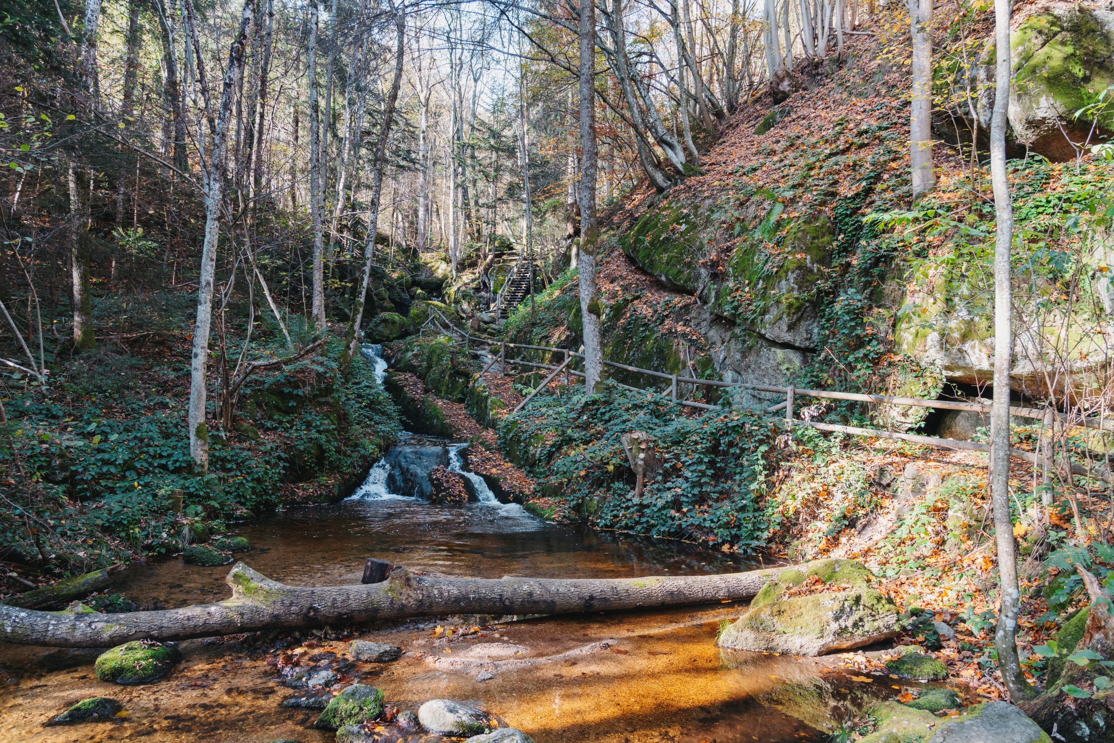 Ysper Gorge