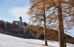 Die sanften Hügel des Wienerwaldes sind mit einer zarten Schneedecke überzogen, während die majestätische Burg im Hintergrund stolz über die Landschaft wacht. Die kühle Winterluft lädt zu einem Spaziergang ein, um die ruhige Schönheit der Natur zu genießen.