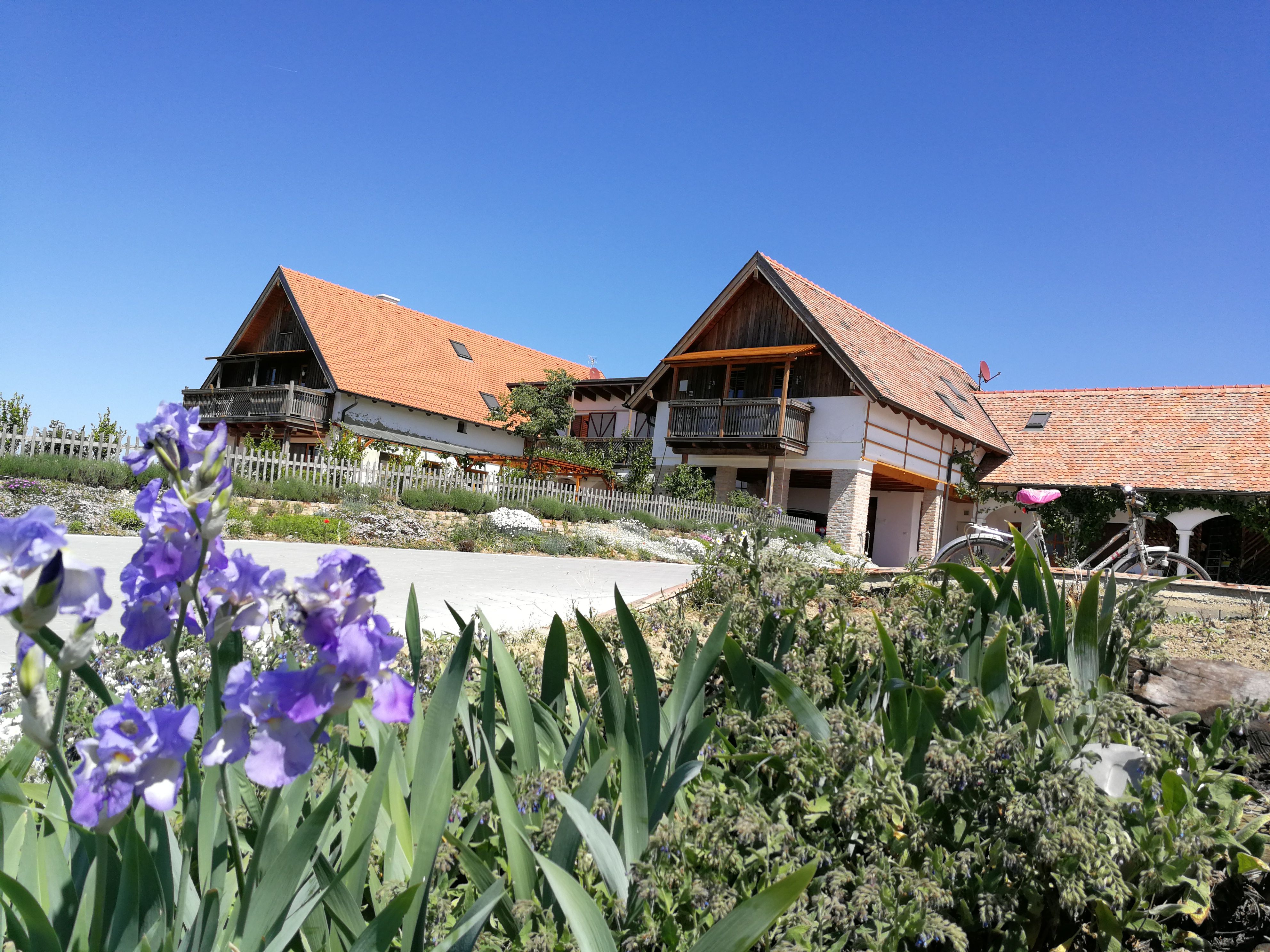 A traditional farmhouse with red tiled roofs and a garden with purple flowers in the foreground under a clear blue sky.