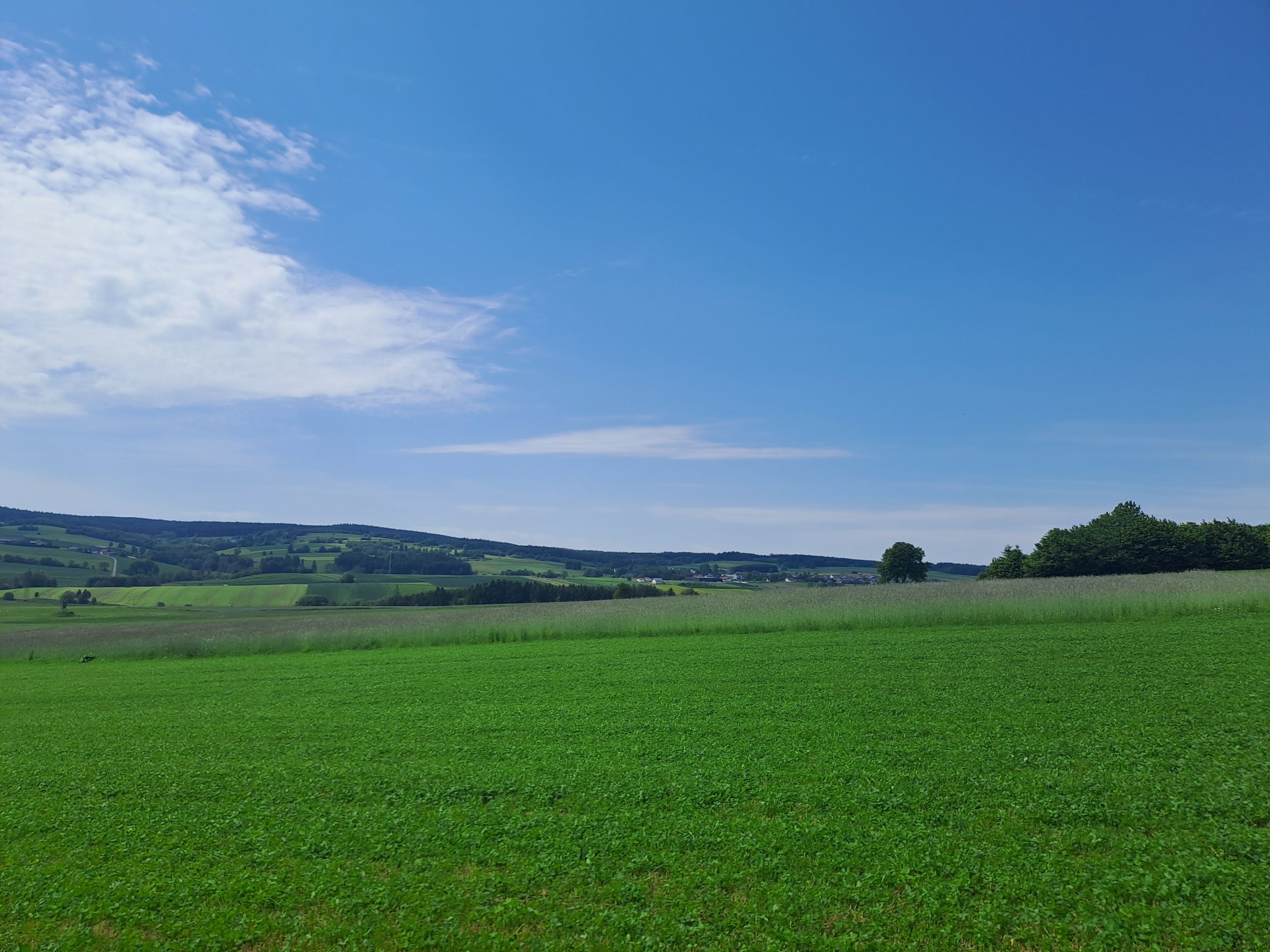 View over green meadows and fields