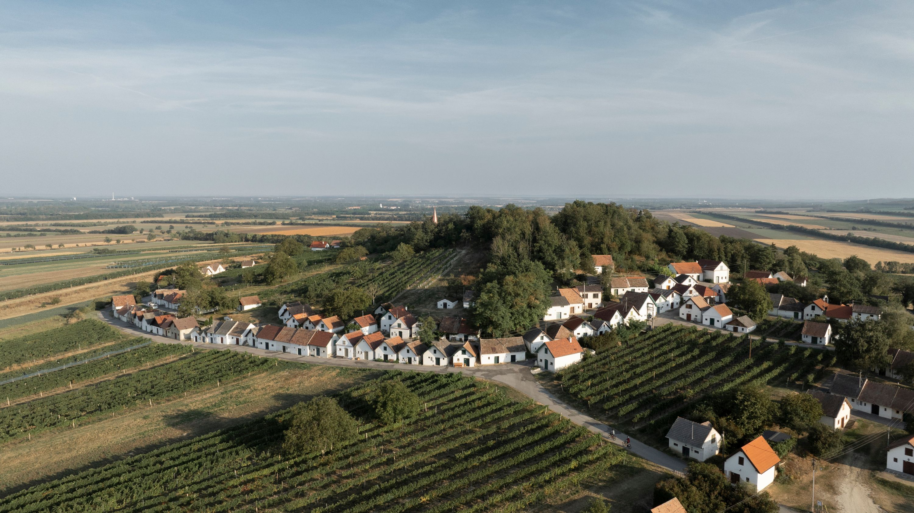 Aerial view of the Galgenberg wine cellar lane in Wildendürnbach with vineyards and small houses.