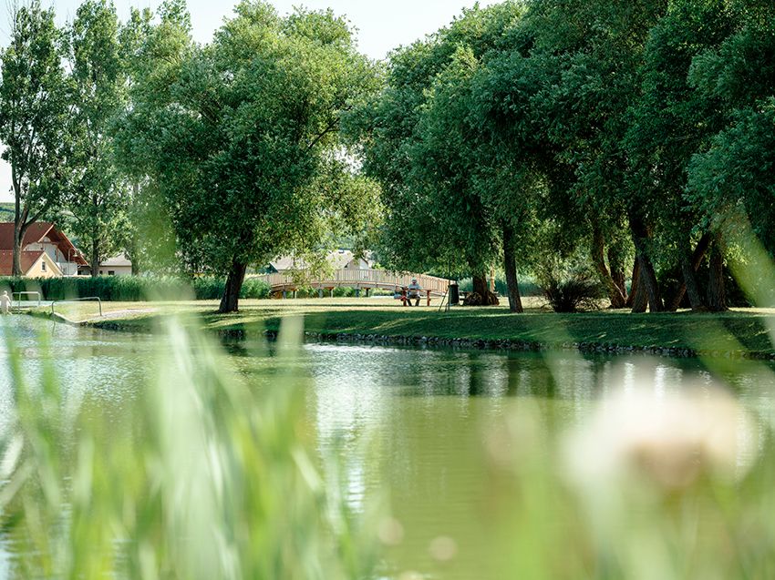 A quiet pond with trees and a bridge in the background.