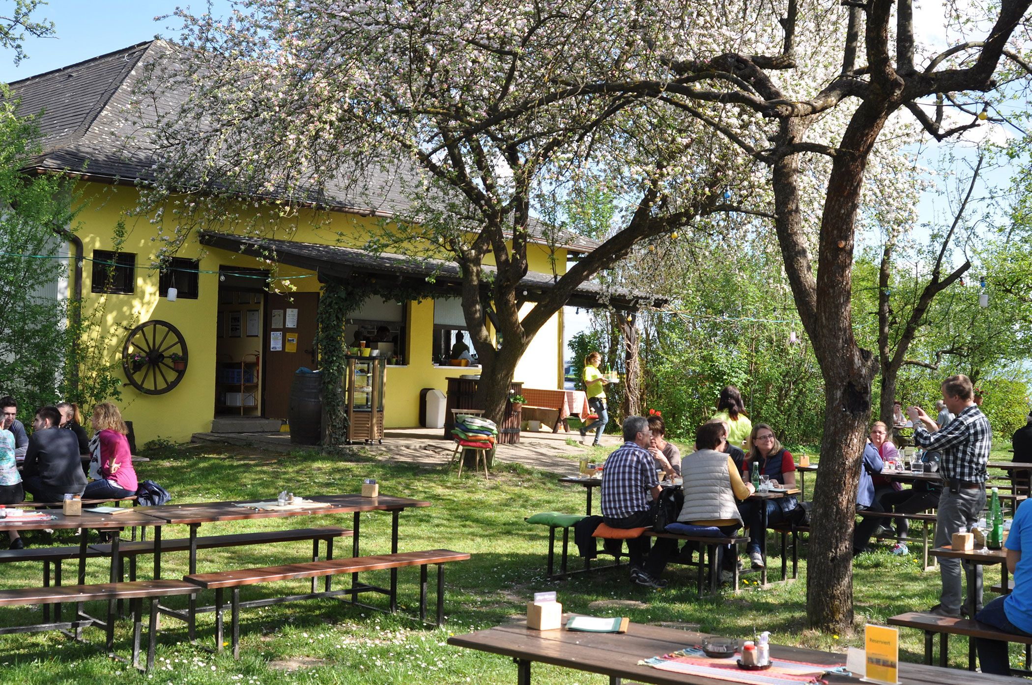 People sit outside at wooden tables in front of a yellow building with blossoming trees.