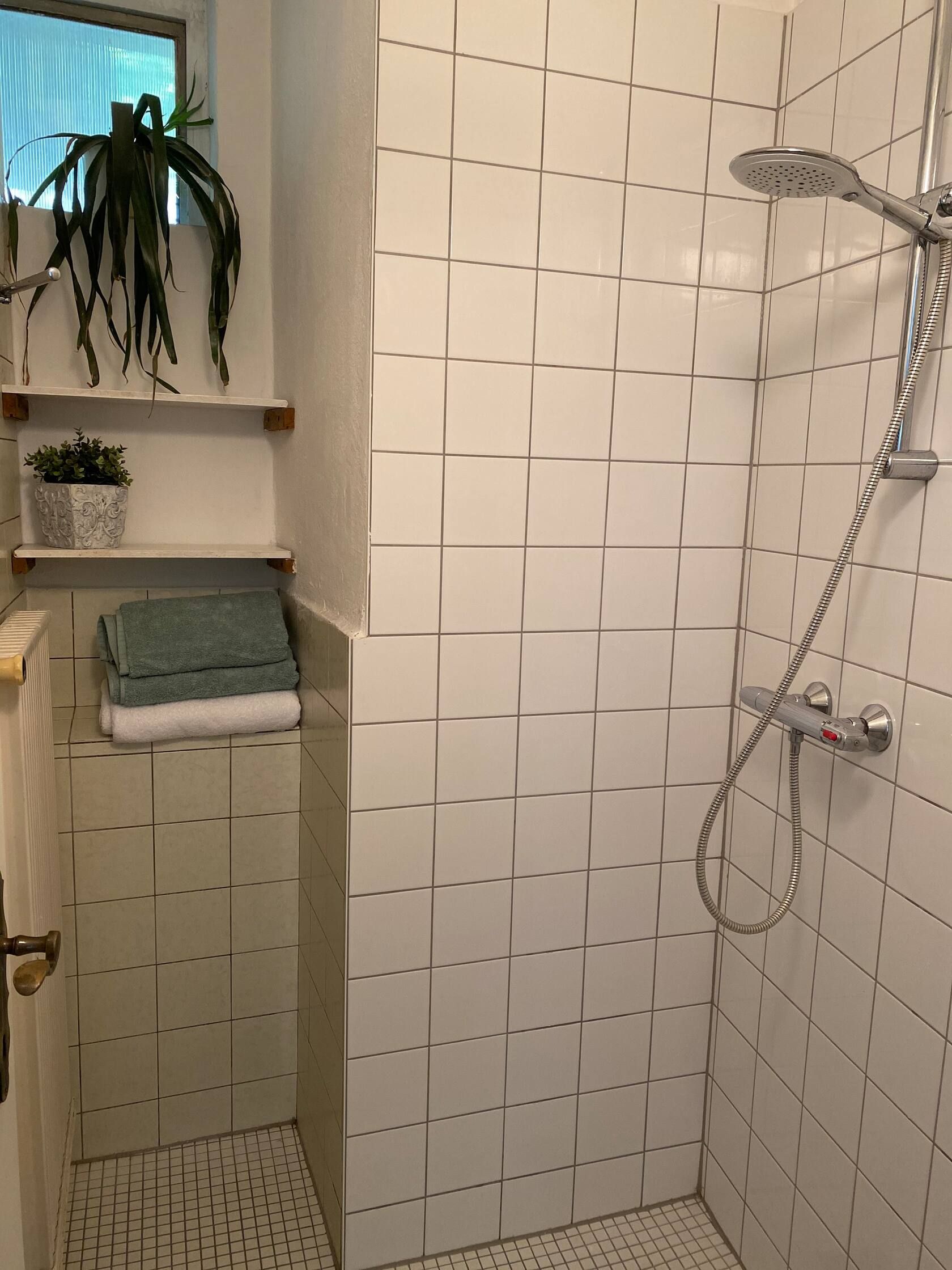 A tiled shower with shower head, towels and plants on shelves.