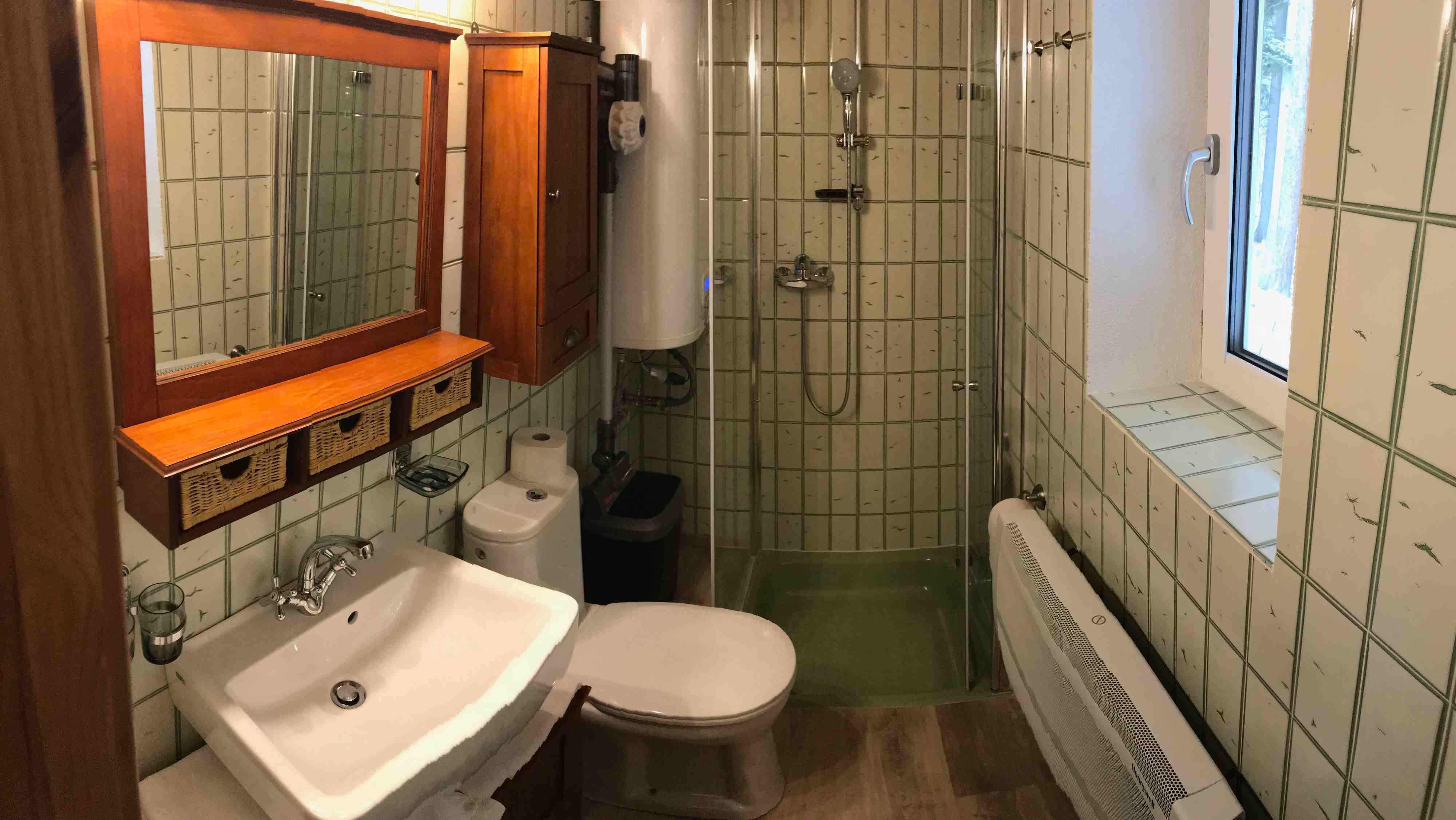 Small bathroom with shower, washbasin, toilet and wooden cupboards.