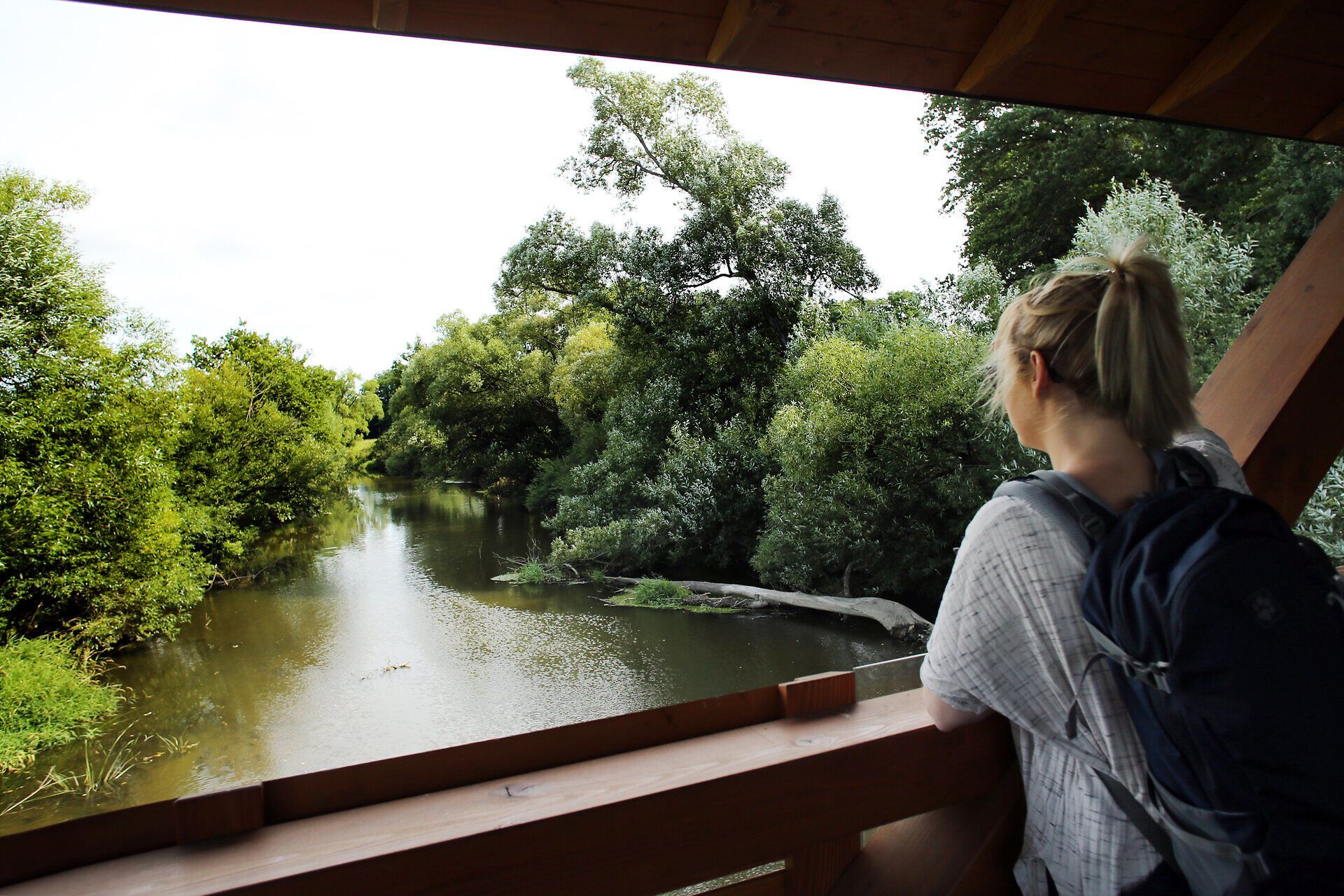 A quiet moment on the banks of a gently flowing body of water, surrounded by lush greenery and majestic trees. The peaceful atmosphere invites you to enjoy nature in all its glory and leave everyday life behind.