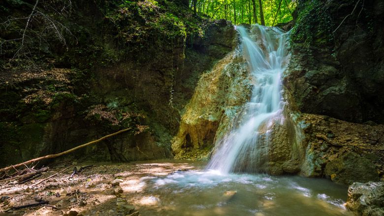 A waterfall in the forest, flowing over rocks, surrounded by trees and moss.