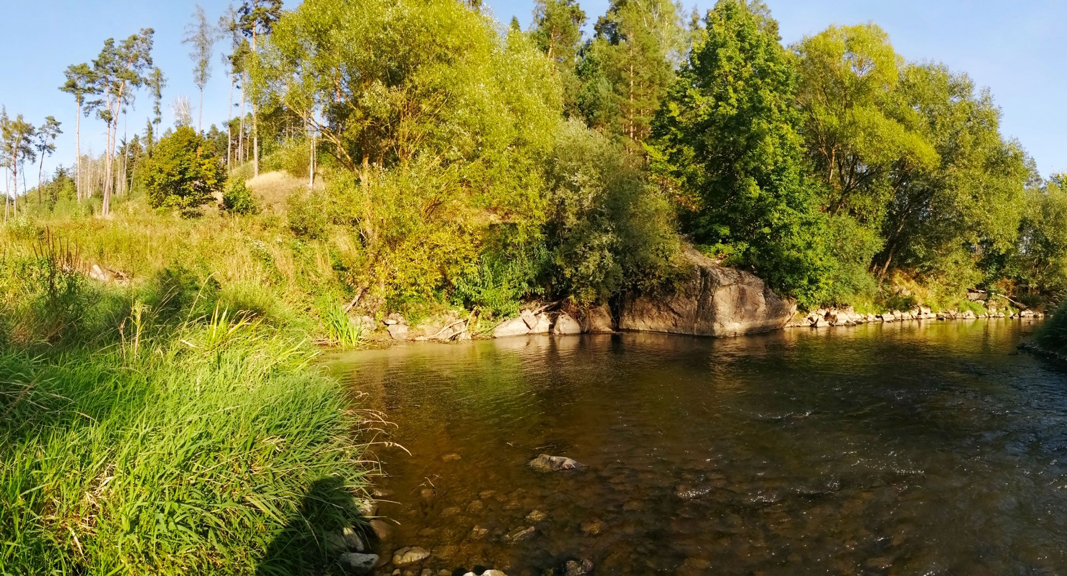 River landscape with trees and rocks on the banks.