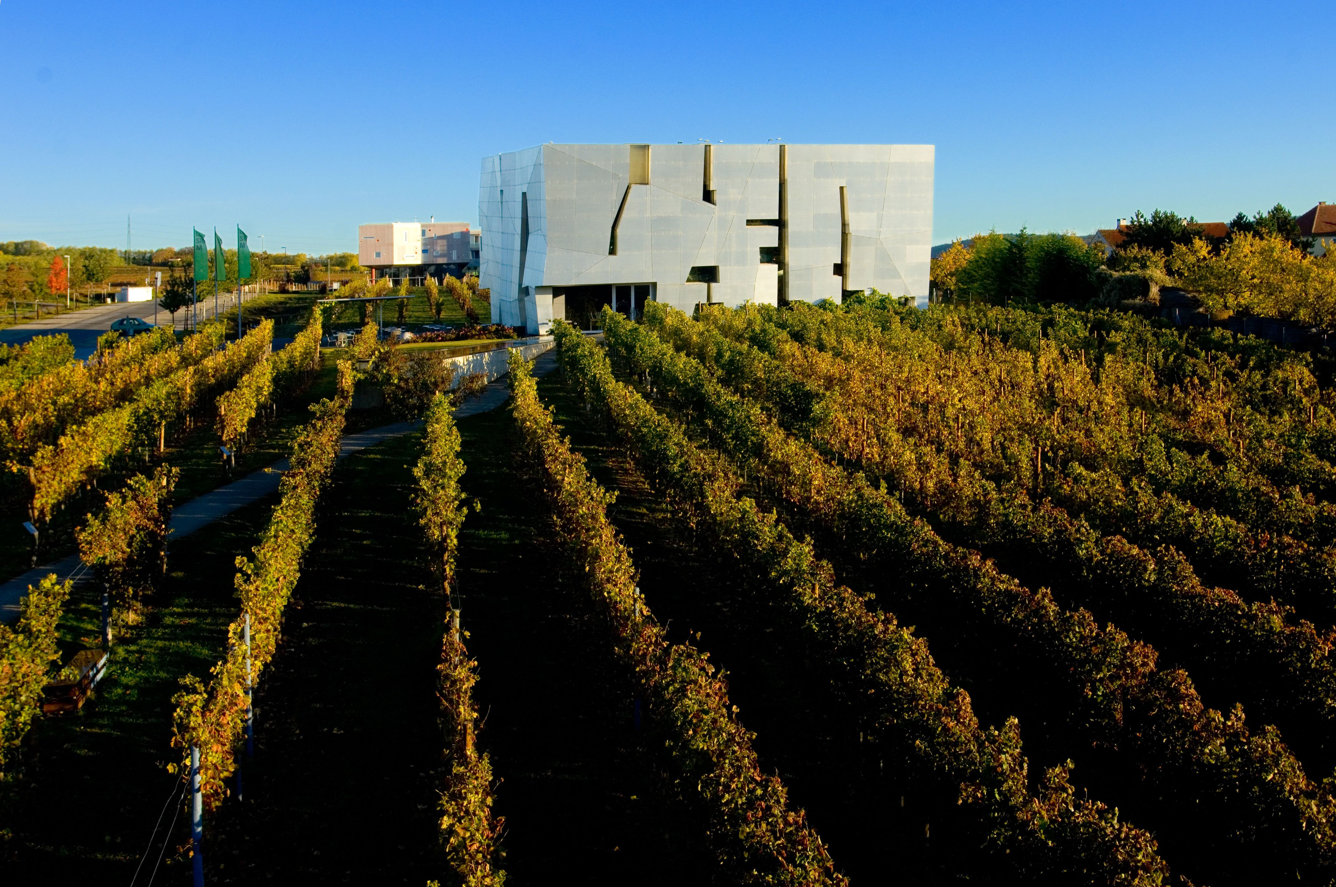 Modern architecture of LOISIUM in Langenlois, surrounded by vineyards.