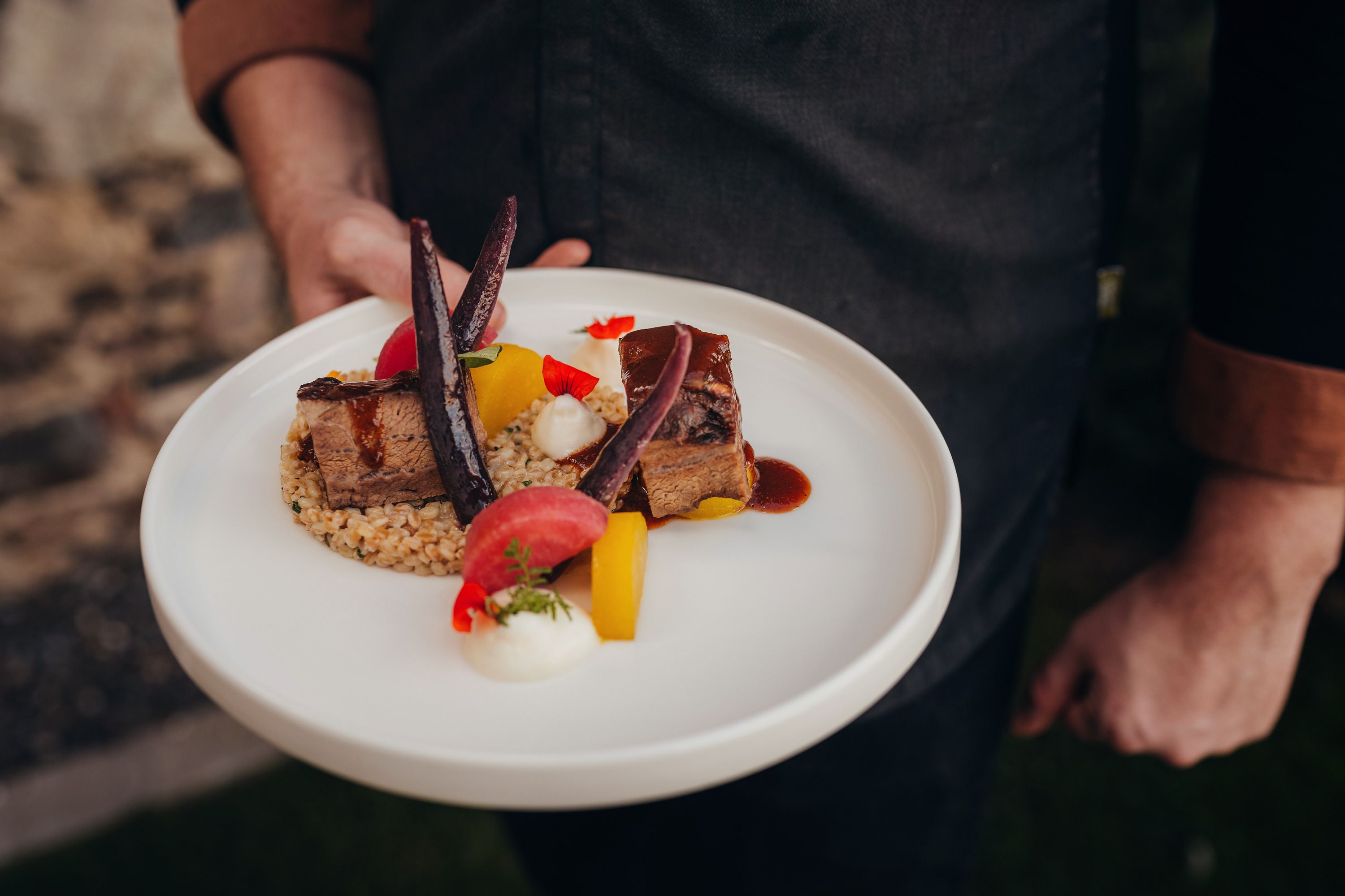 A plate of braised meat, einkorn risotto, potato mousse and turnip variation.