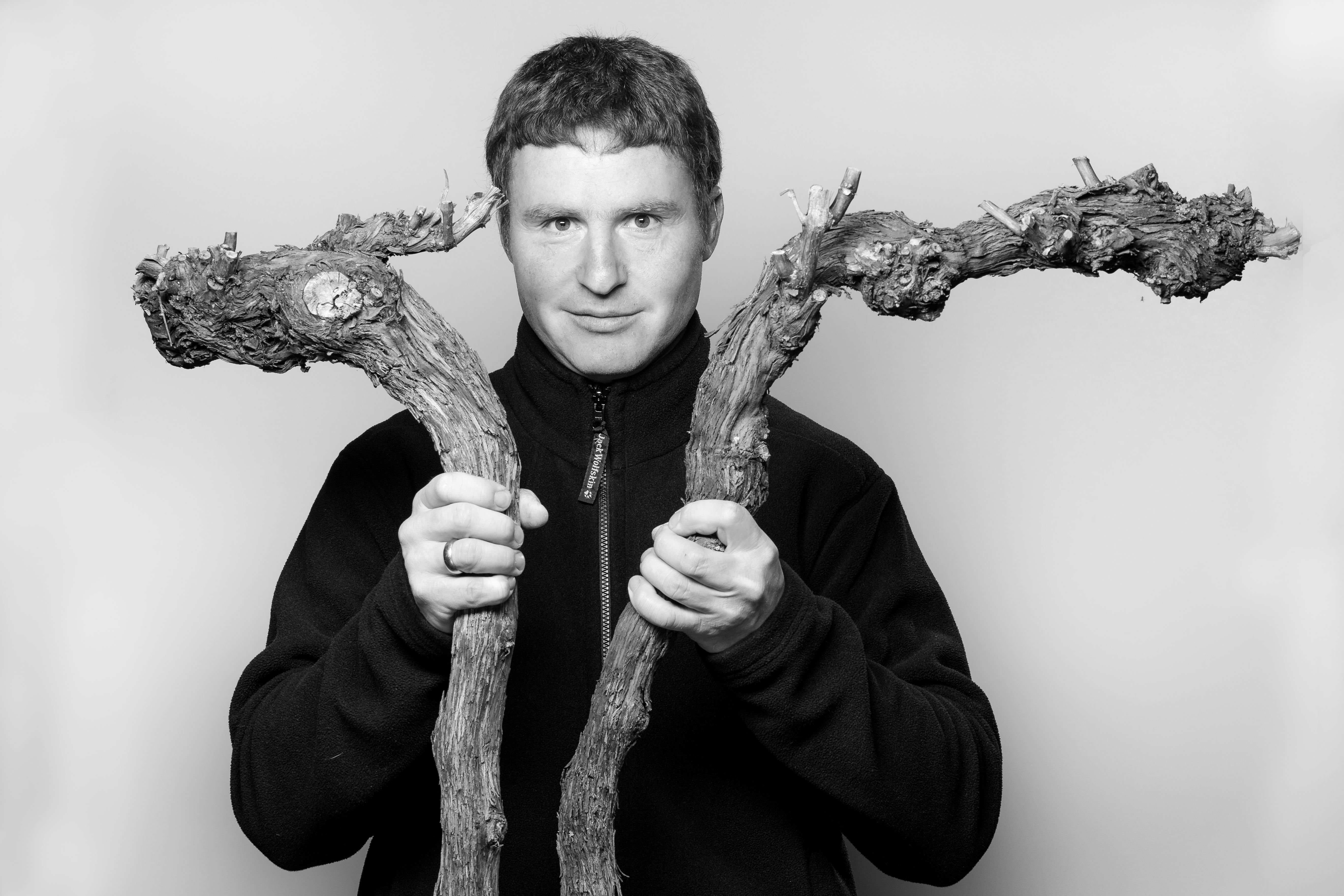 Person holds two vines in his hands.