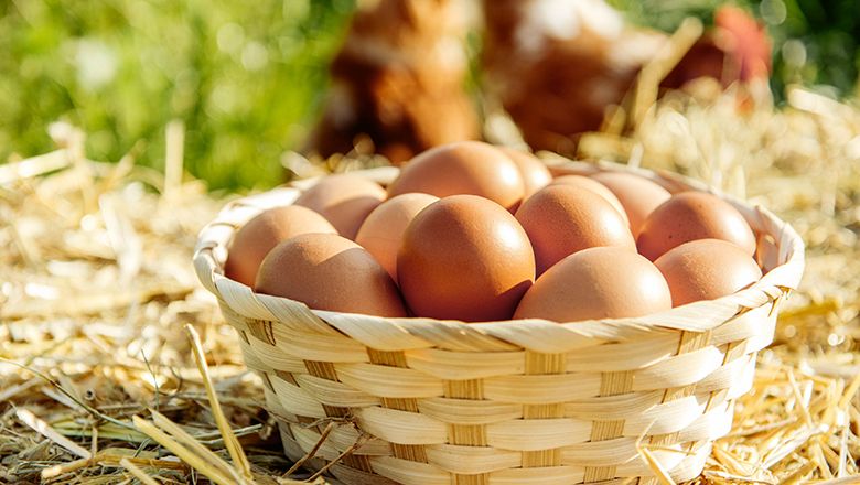 A basket filled with brown eggs stands on straw. Chickens can be seen in the background on a green meadow.