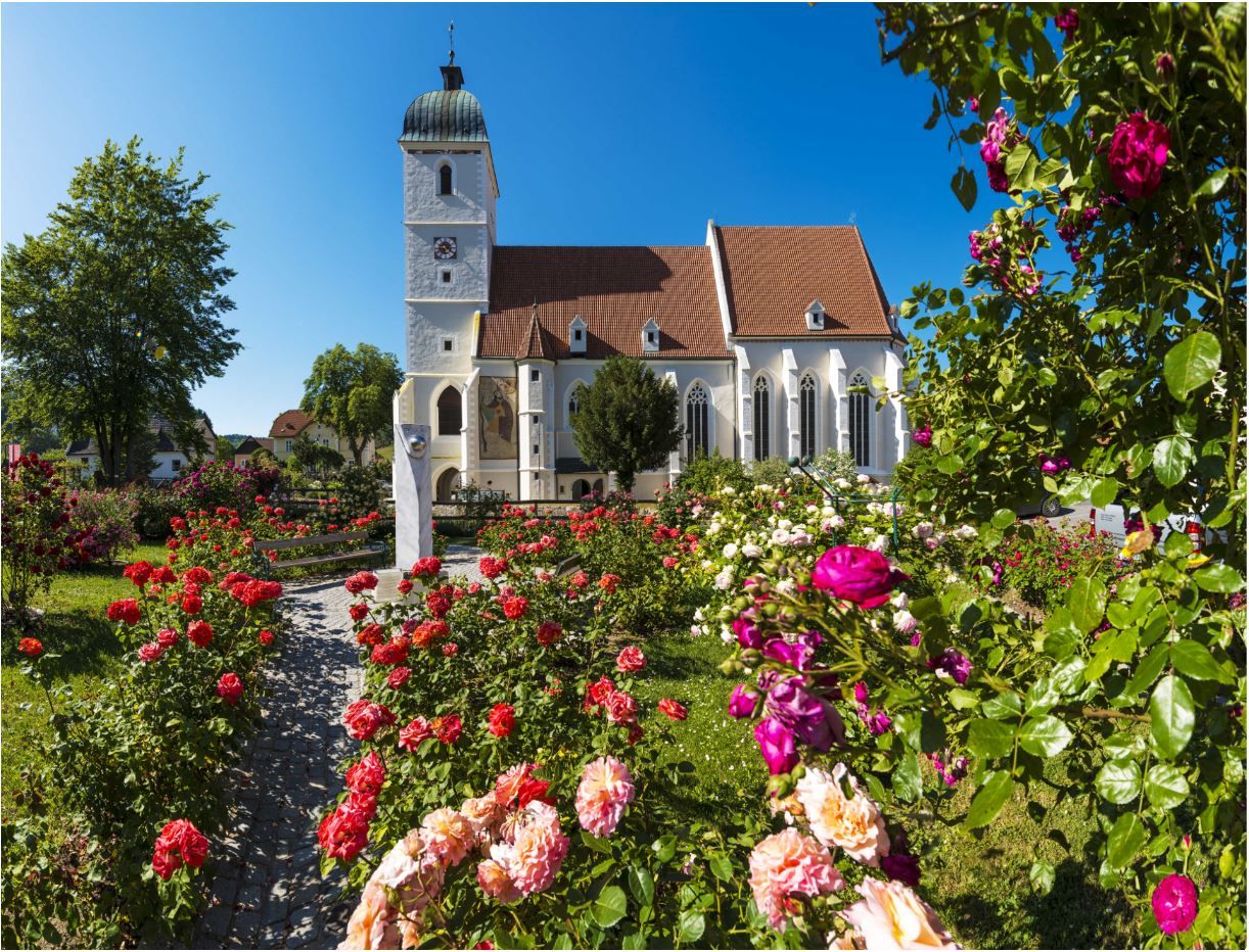 Fortified church in Kirchschlag with a blooming rose garden in the foreground.