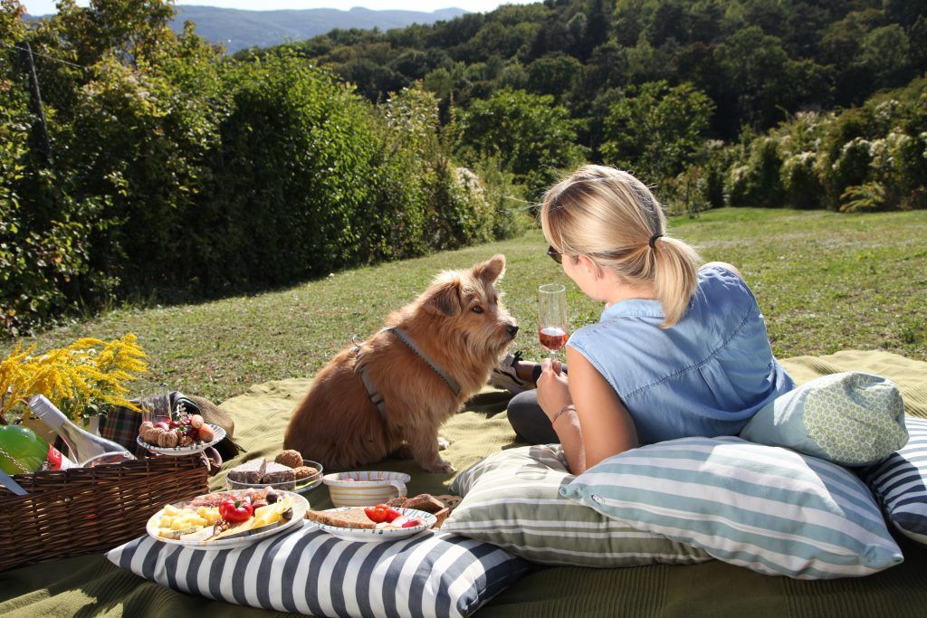 Woman with dog at a picnic in the countryside with wine and snacks.