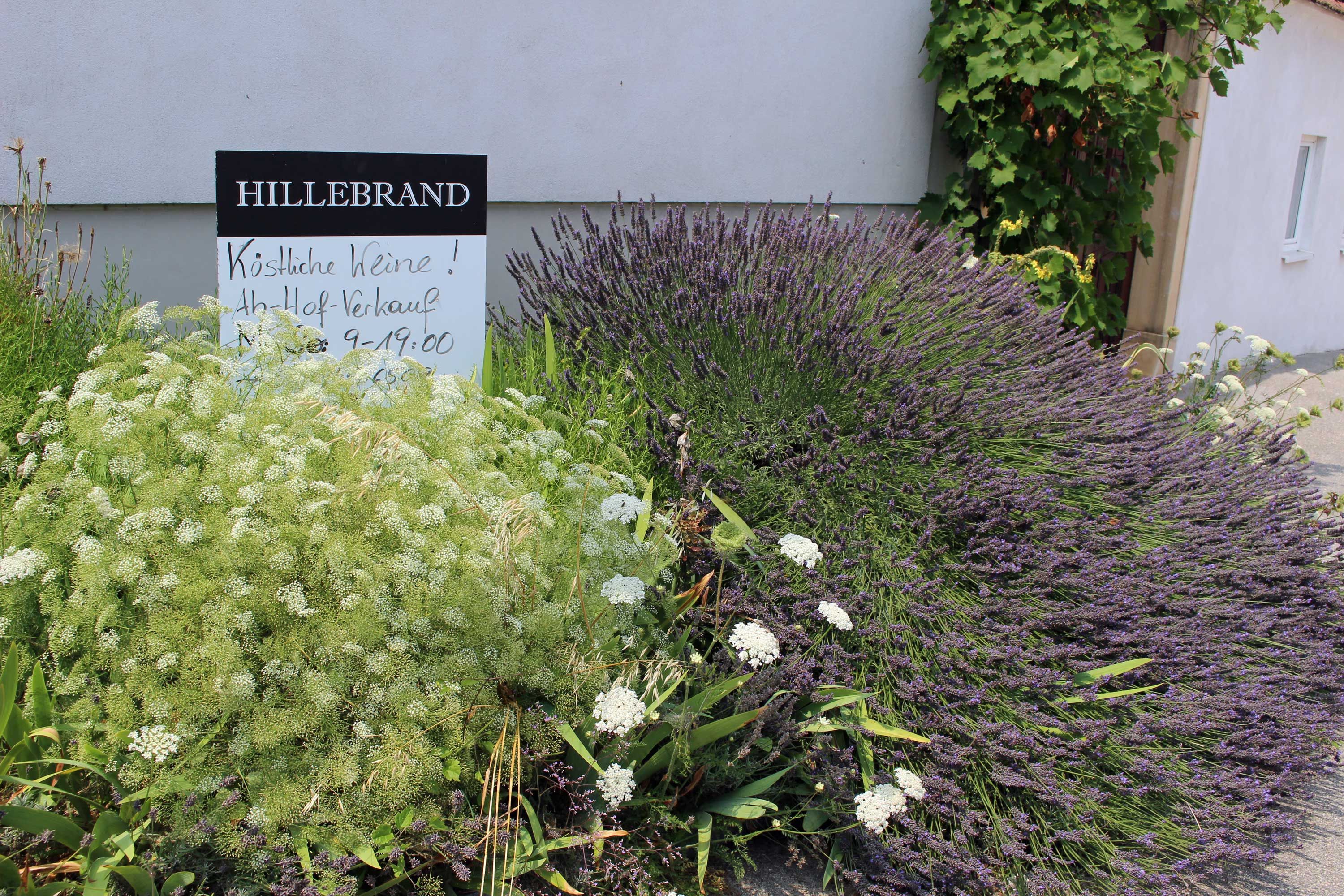 Hillebrand winery, Petronell-Carnuntum
