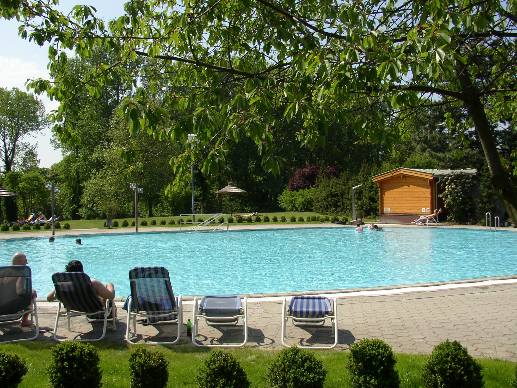 An outdoor pool in a park with sun loungers and trees in the background.