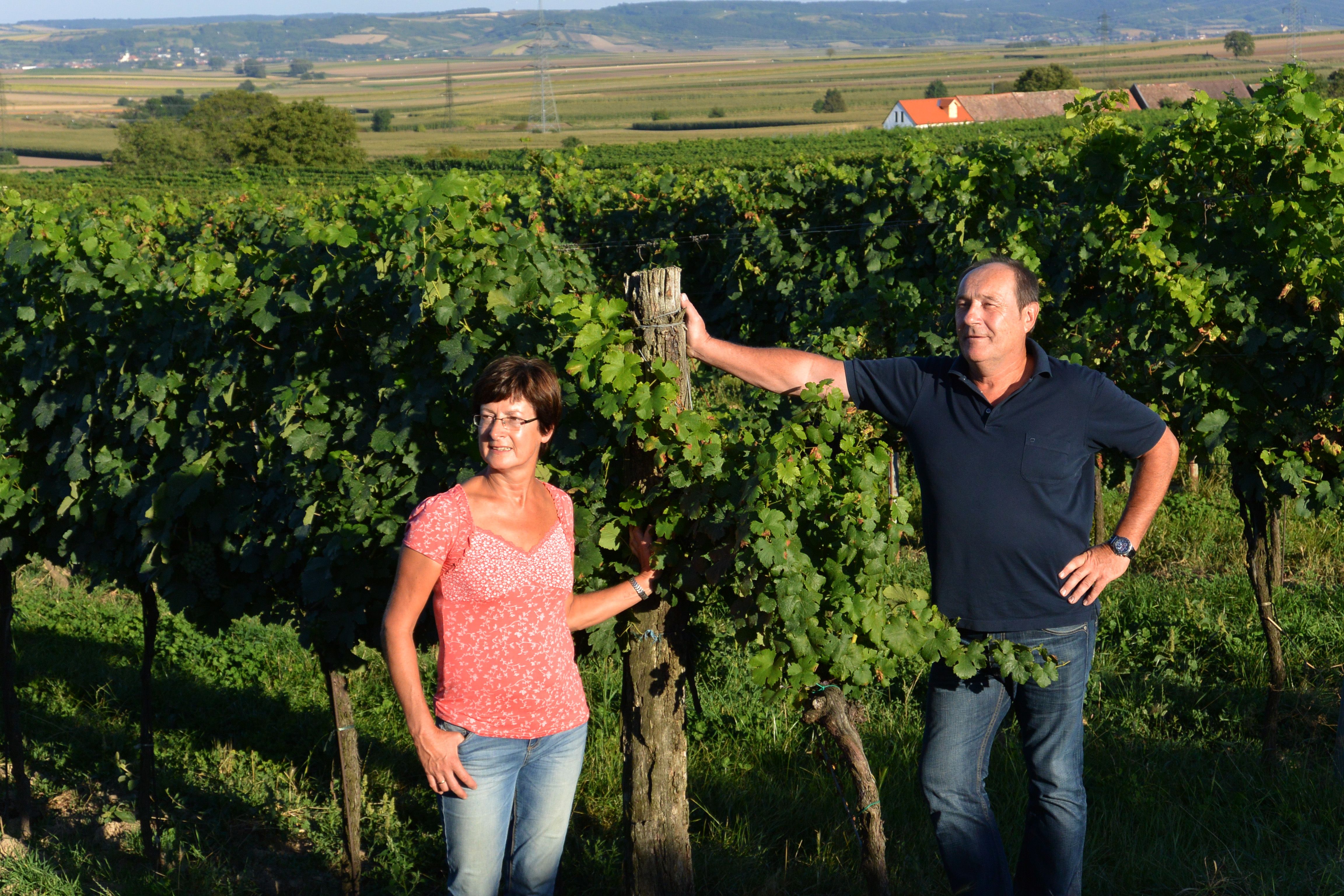 Two people are standing in a vineyard, surrounded by green vines and a hilly landscape in the background.