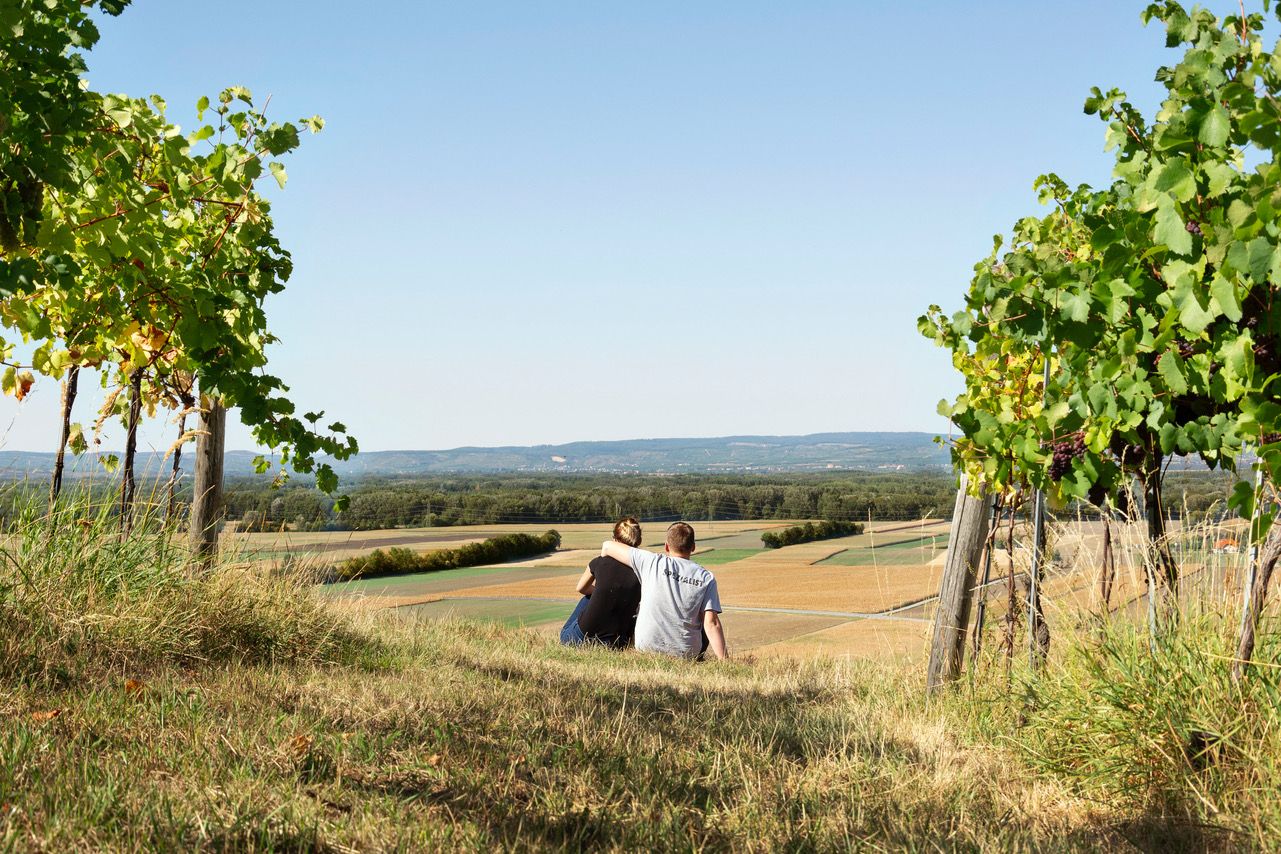 A couple sits on a hill between vines and looks out over a wide landscape with fields and hills in the background.