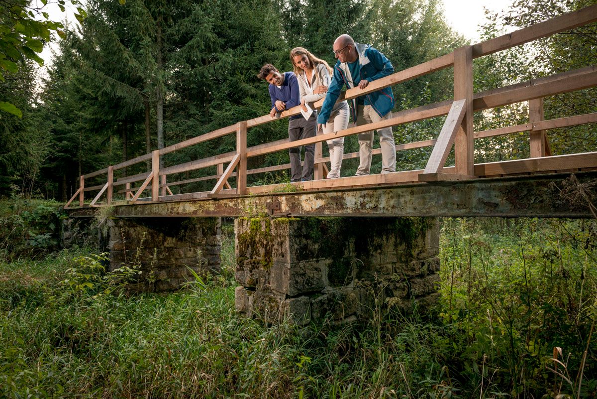 Three people stand on an old railroad bridge in the forest and look down.