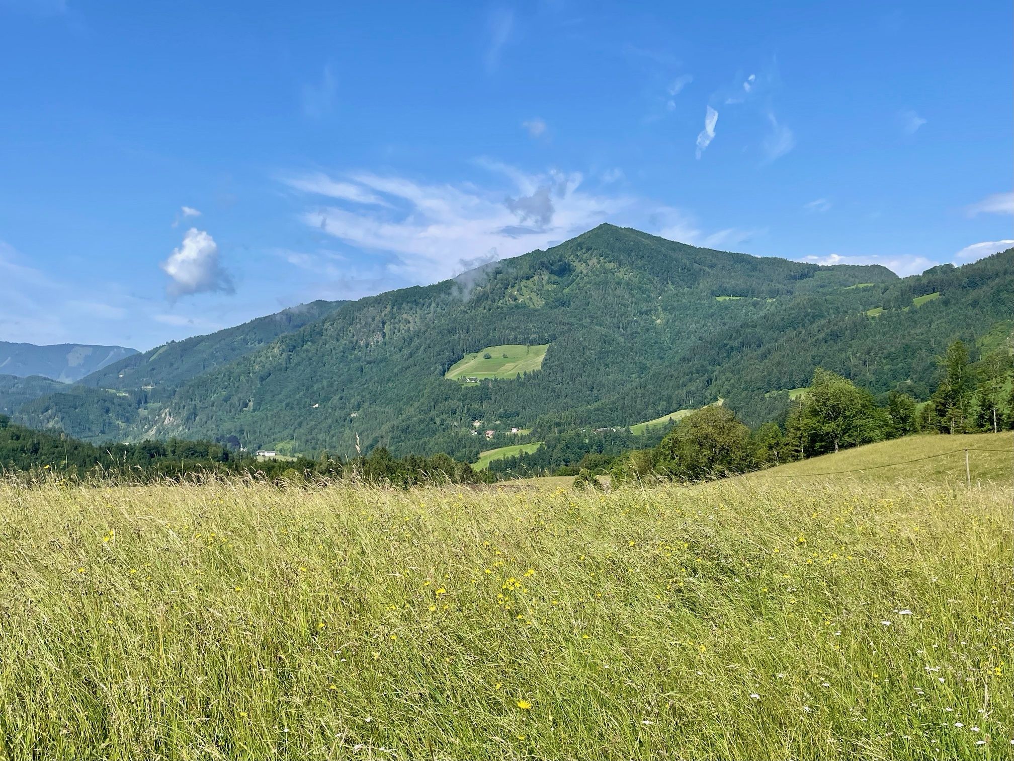Opponitz circular ditch trail