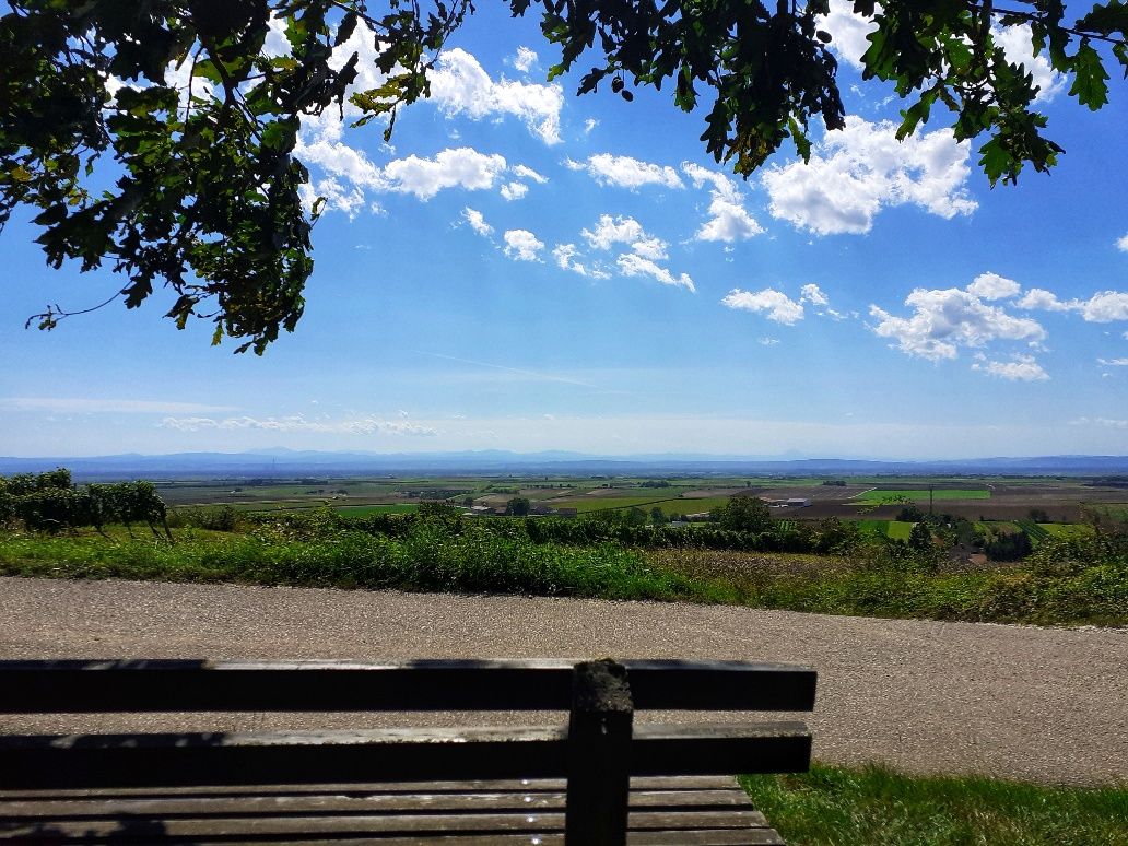 View from the Riedweg Ruppersthal