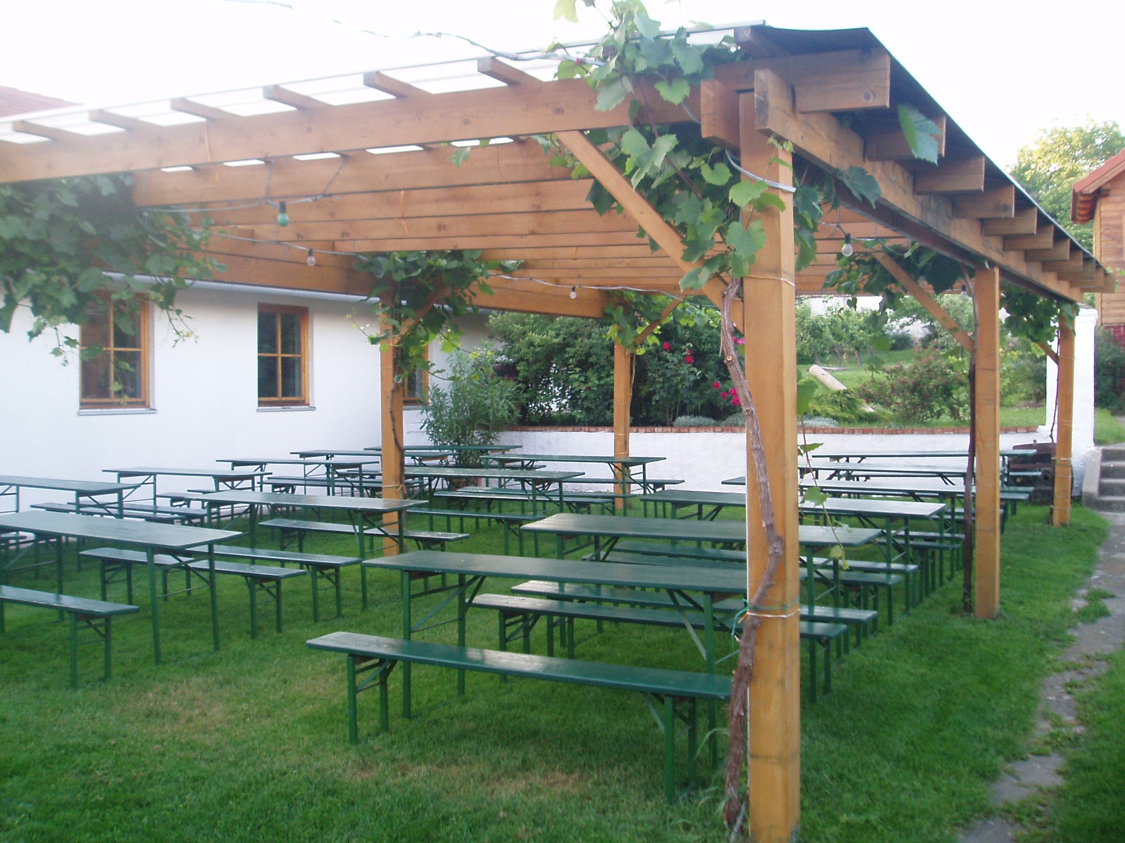 A beer garden with wooden benches and tables under a pergola with vines.