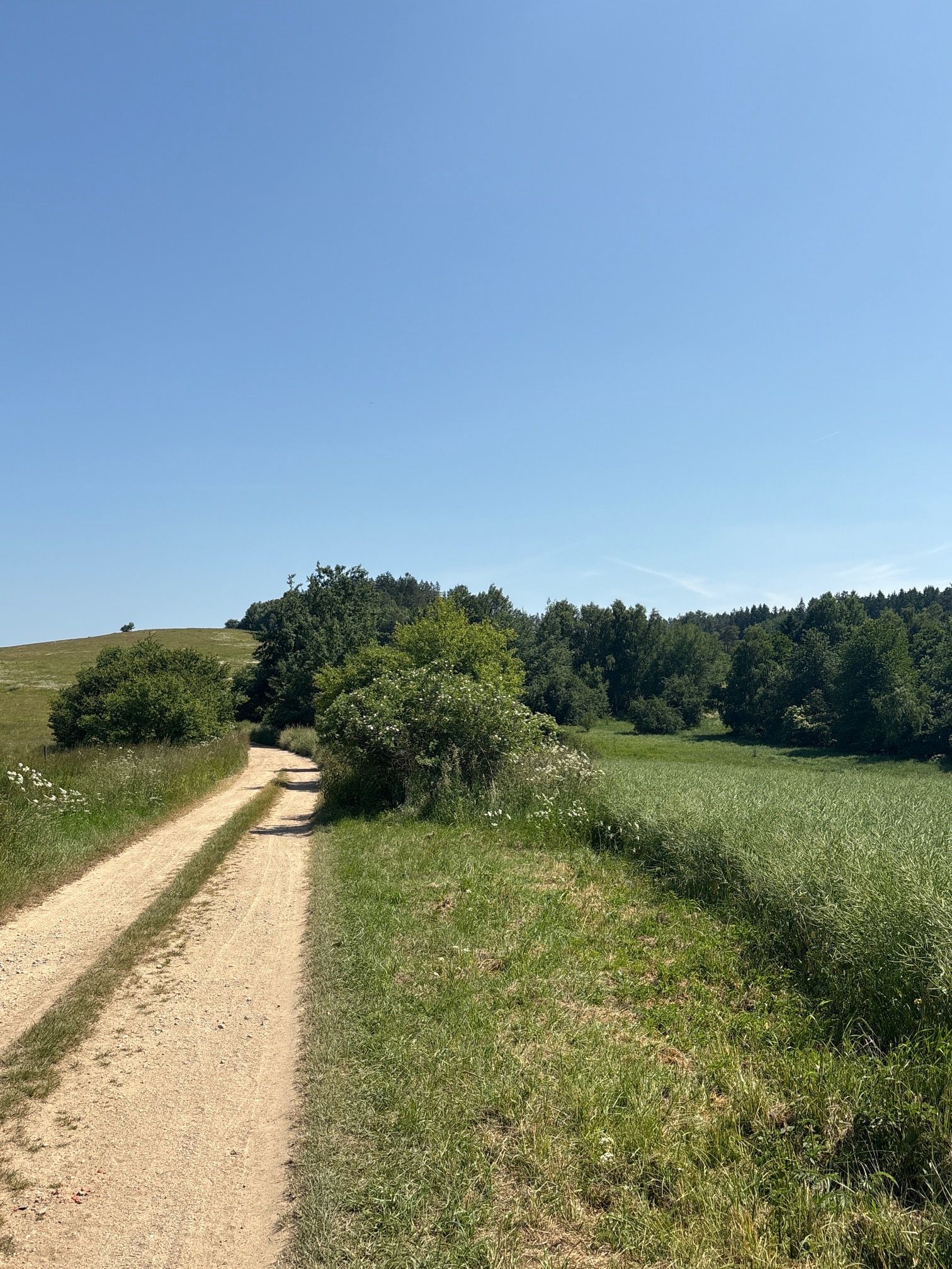 Between Slavonice and Rappolz