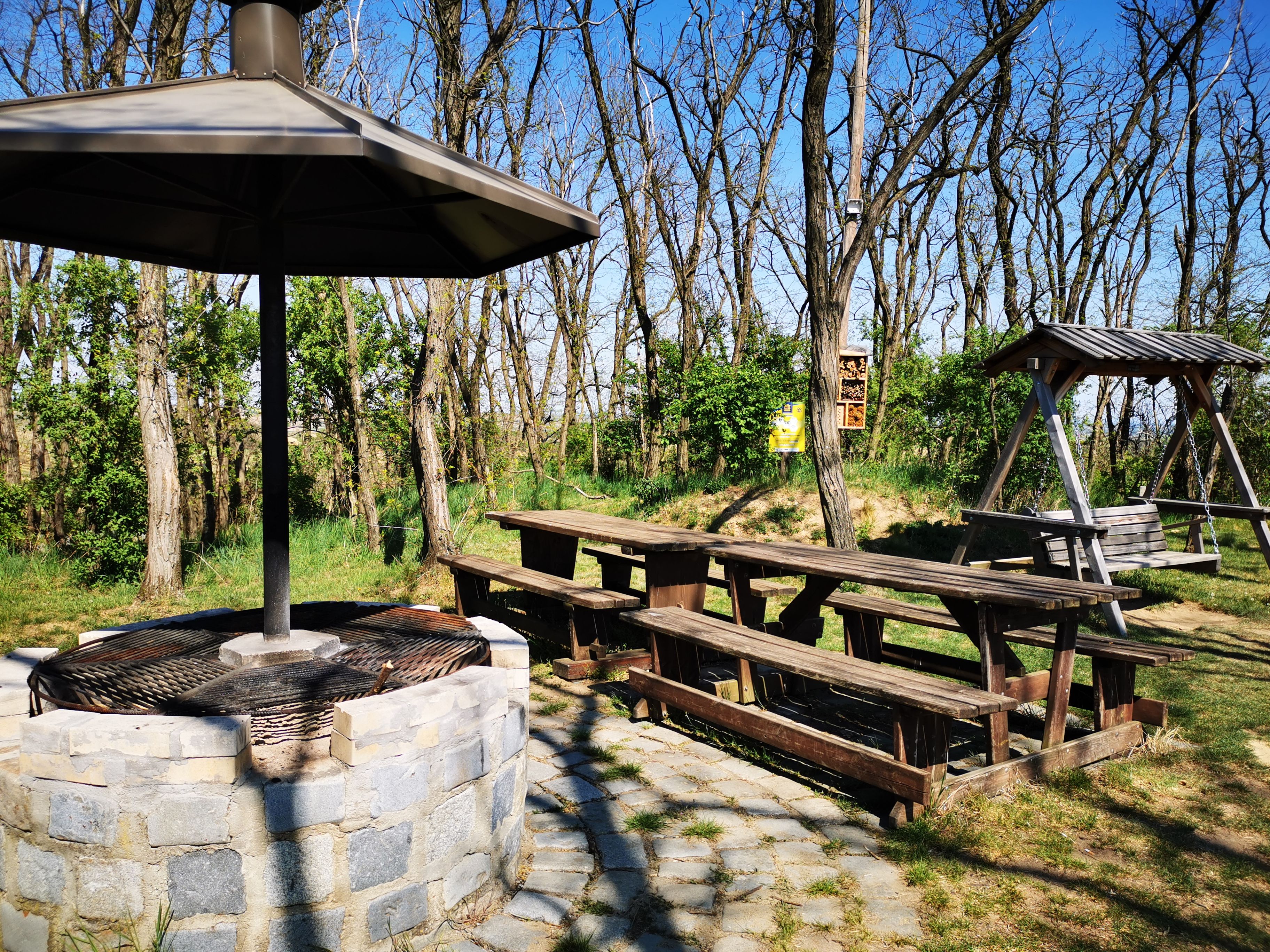 Barbecue area with wooden tables and swings in the forest.