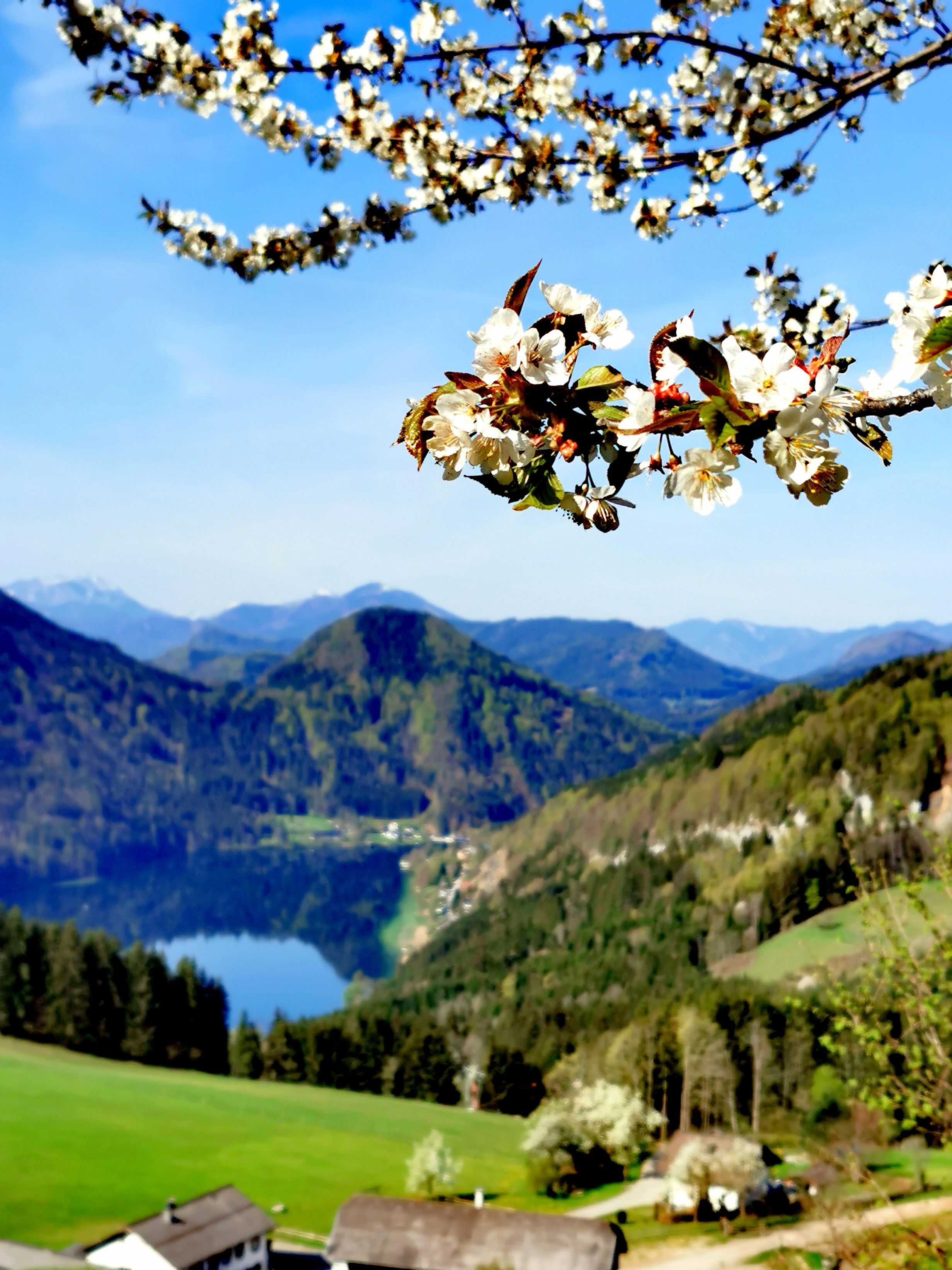 Hike up the Maiszinken