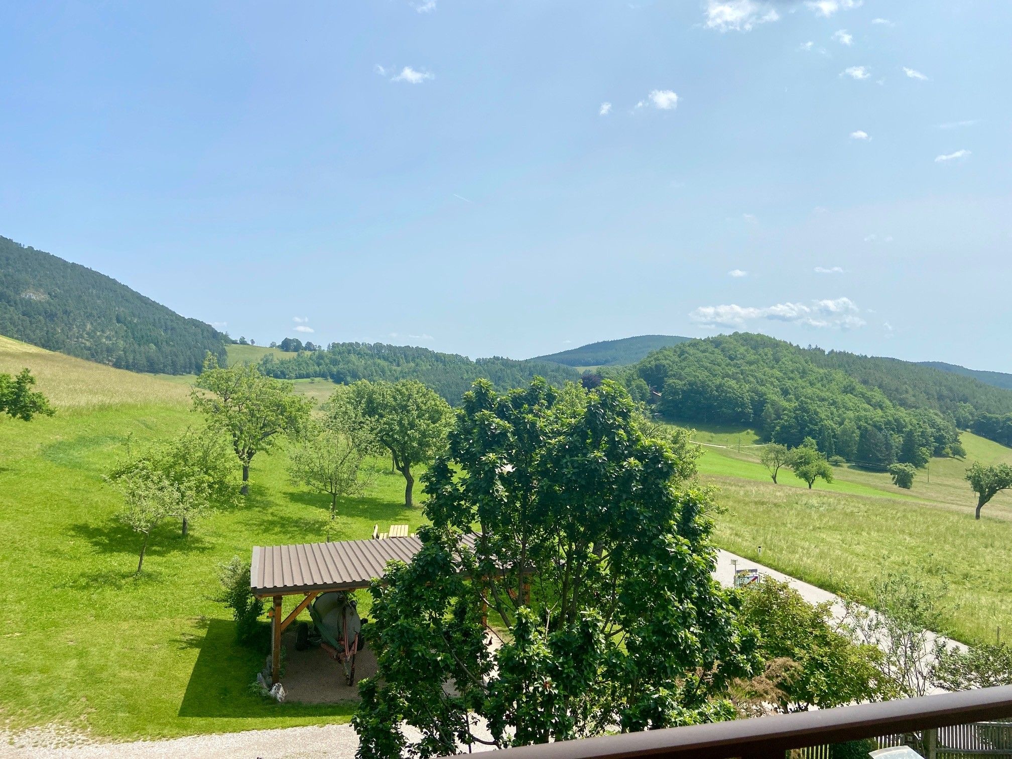 Landscape with green meadows, trees and hills under a blue sky.