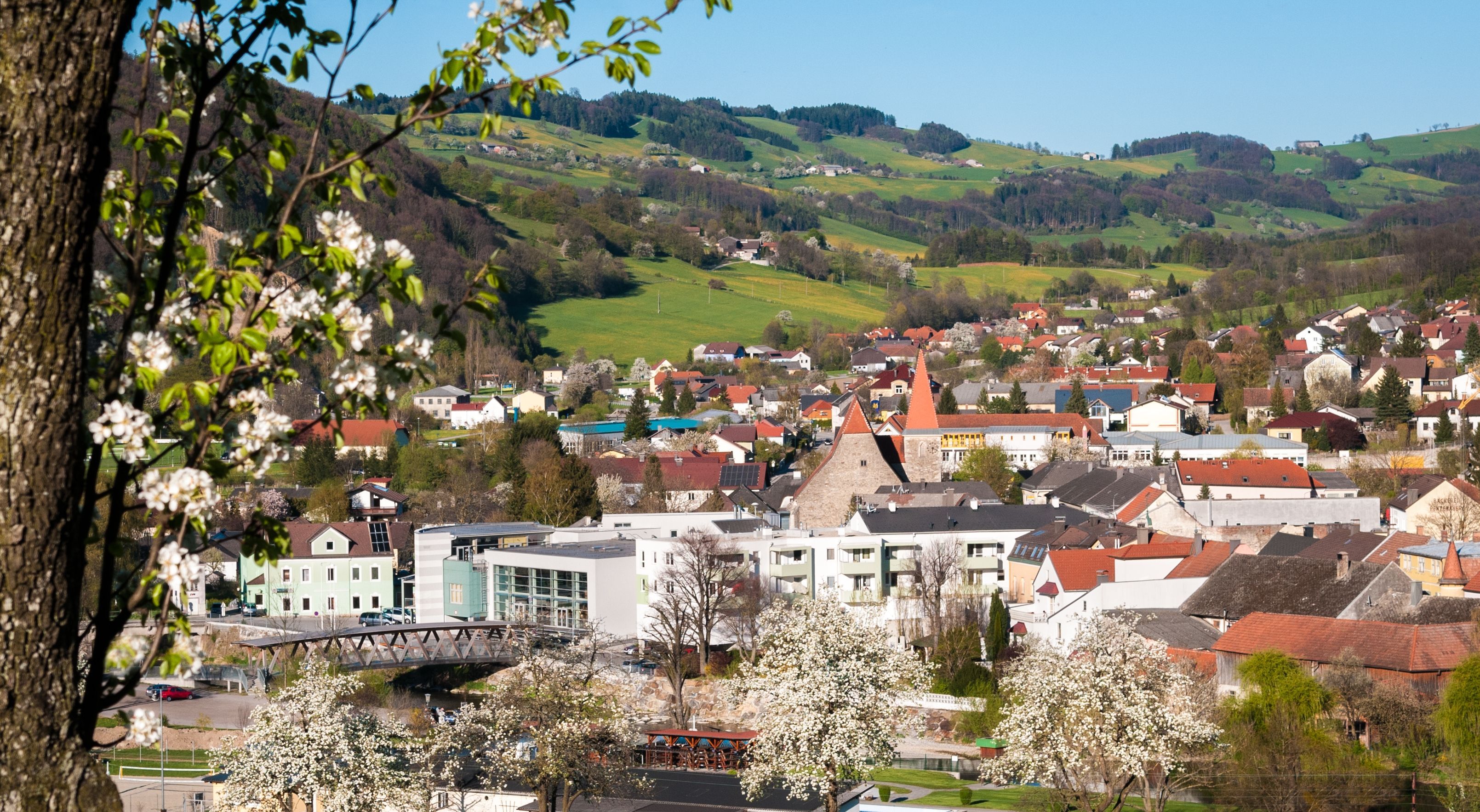 Panorama of Rabenstein with blossoming trees in the foreground and hills in the background.