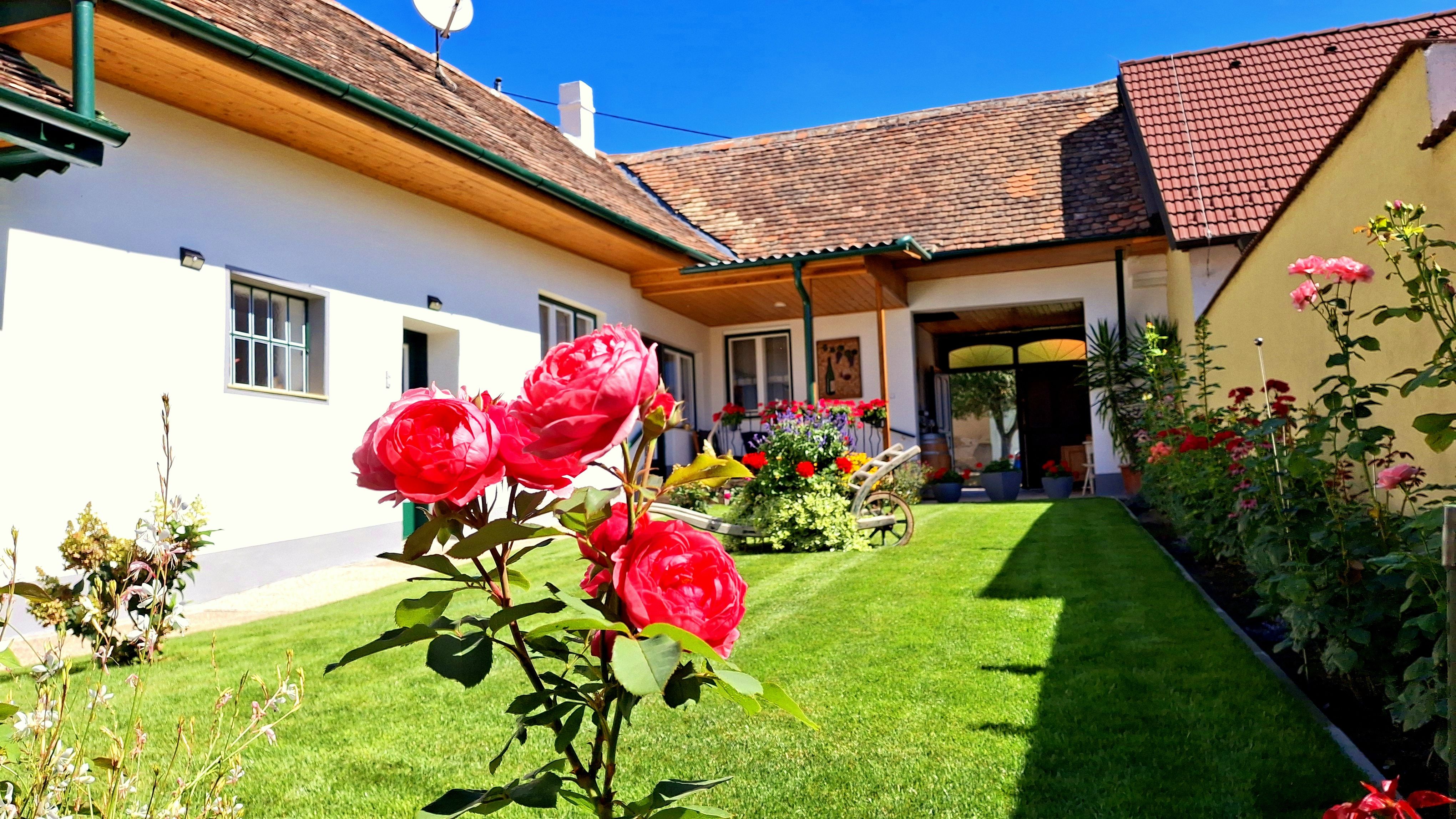A well-tended garden with blooming roses in front of a traditional house with a tiled roof and white façade under a blue sky.