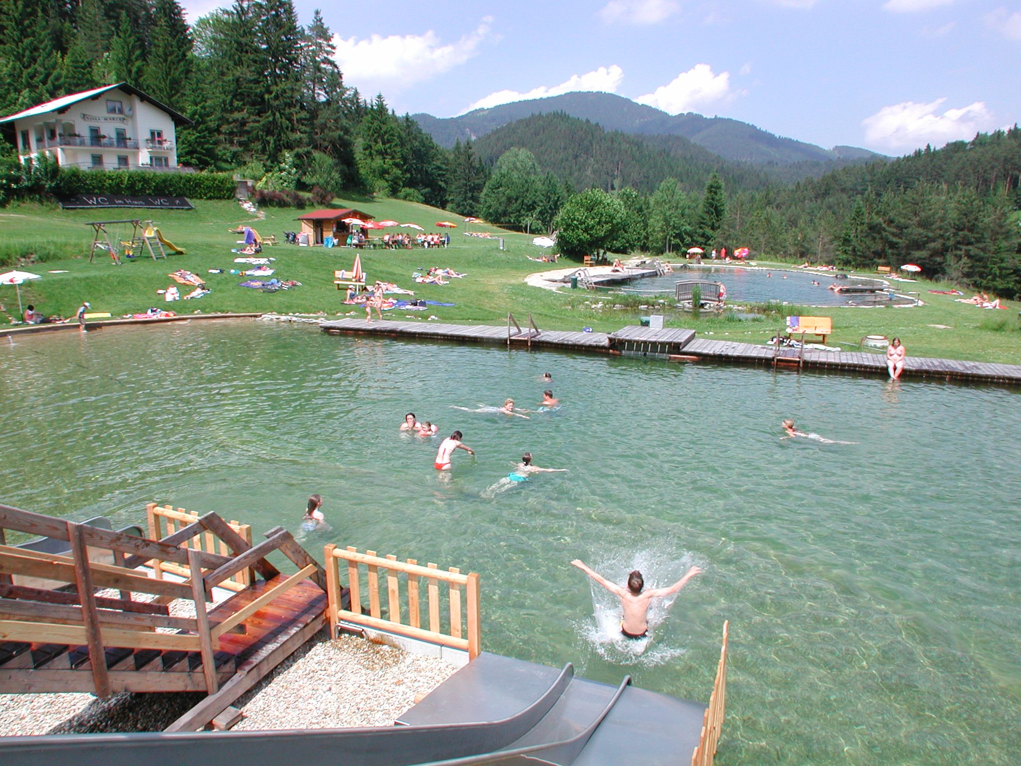 People swimming in a natural swimming lake with surrounding meadow and forest.