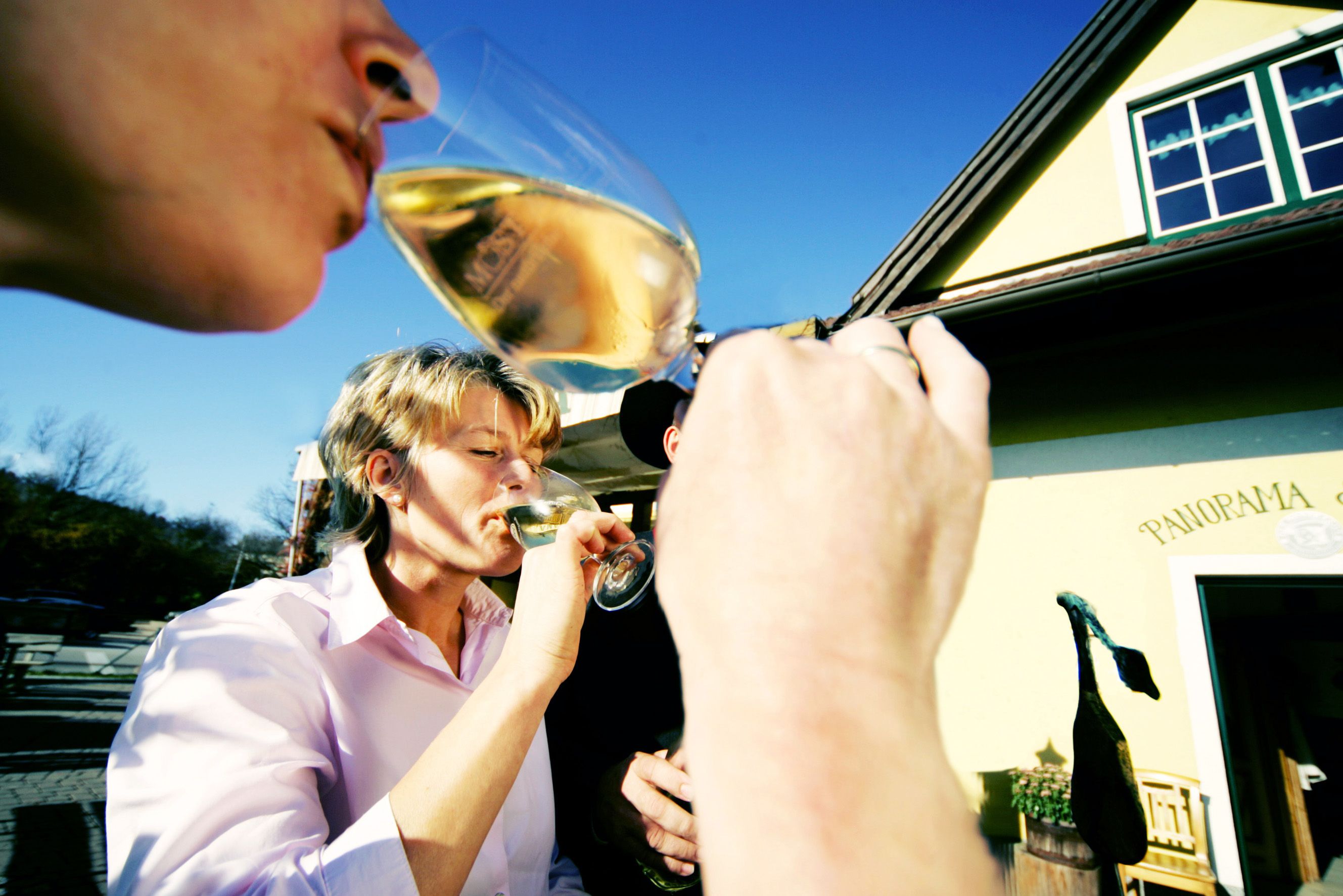 People drinking wine in front of a building labeled 'Panorama'.