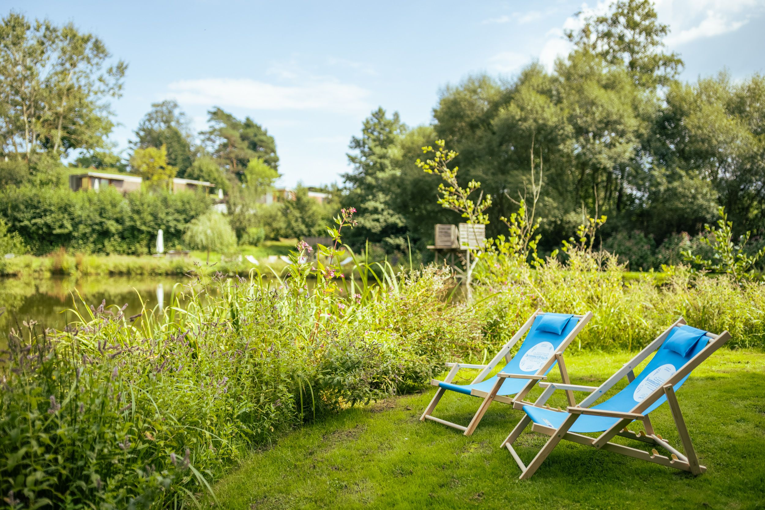 Two blue deckchairs on a meadow on the banks of a pond, surrounded by green vegetation.