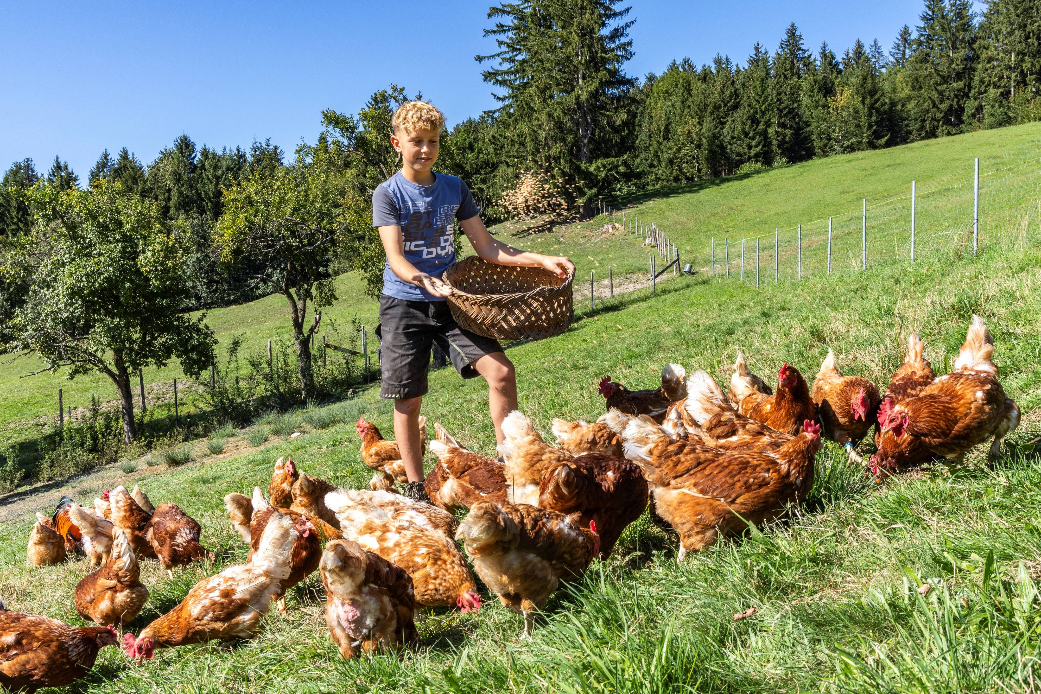 Organic farm Krottensee