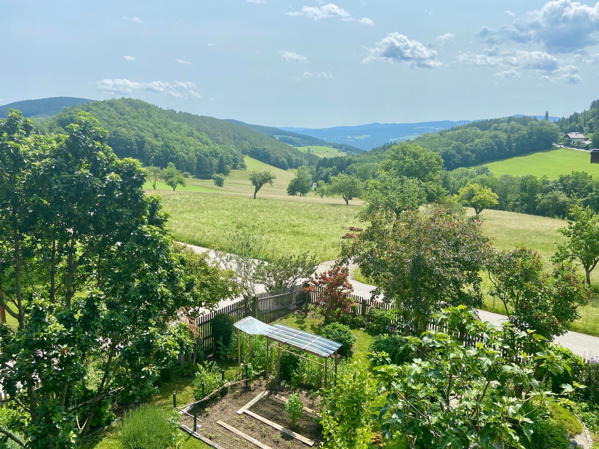 Landscape with green hills, trees and a small garden in the foreground.