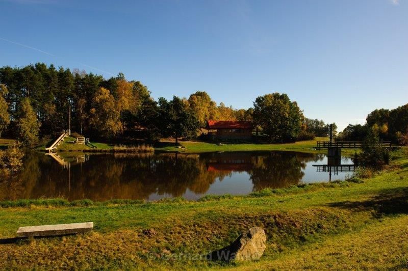 Duck pond