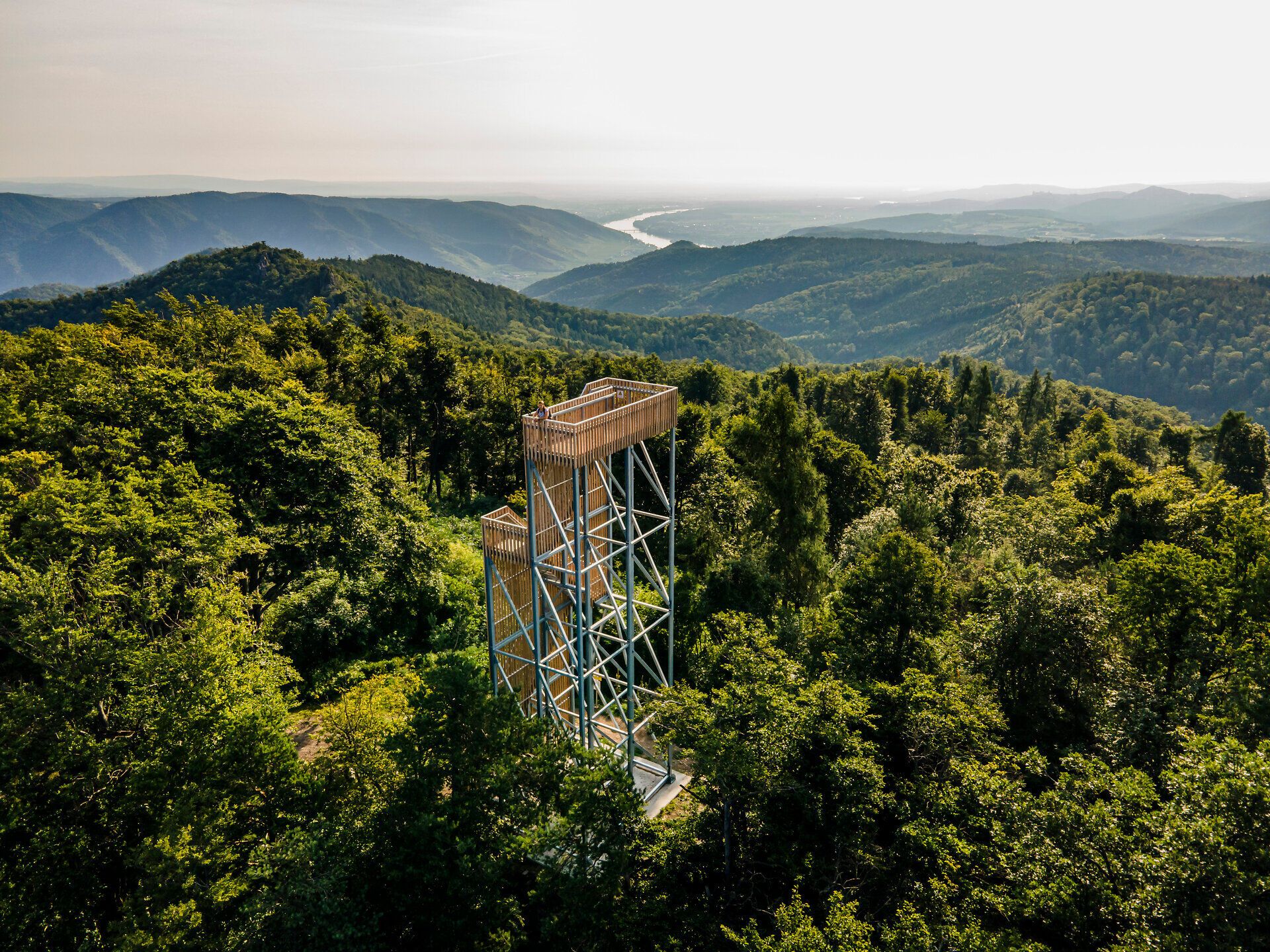 Die Aussichtswarte Seekopf von Wäldern umgeben.