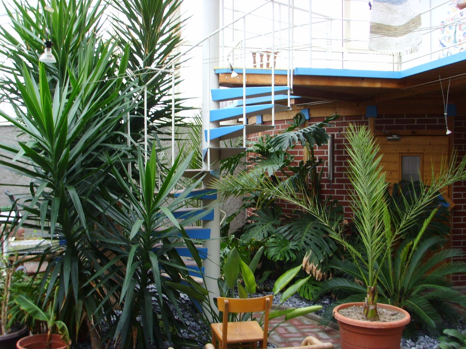 Inner courtyard with plants and spiral staircase.