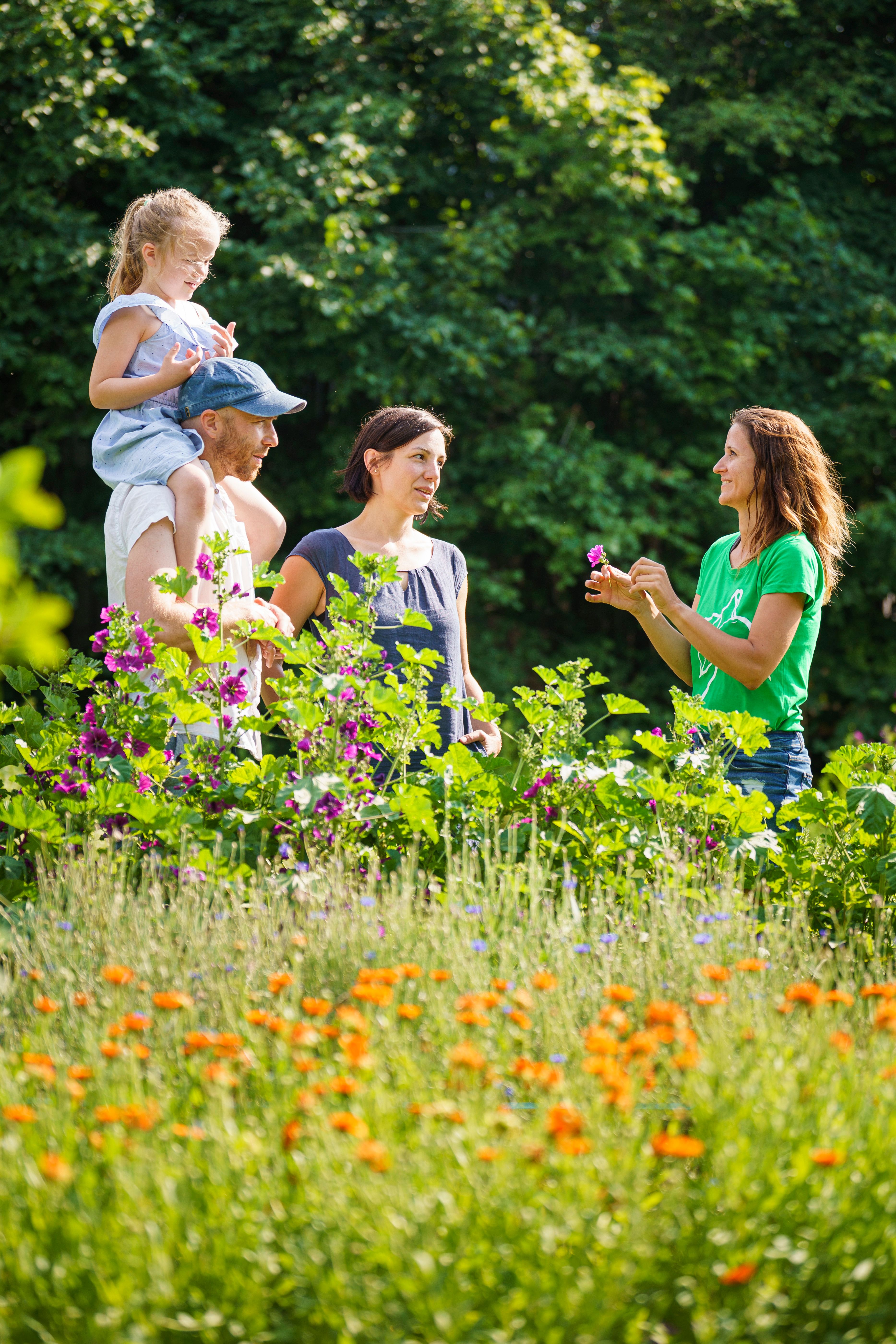 A group of people in a herb garden, surrounded by flowering plants.