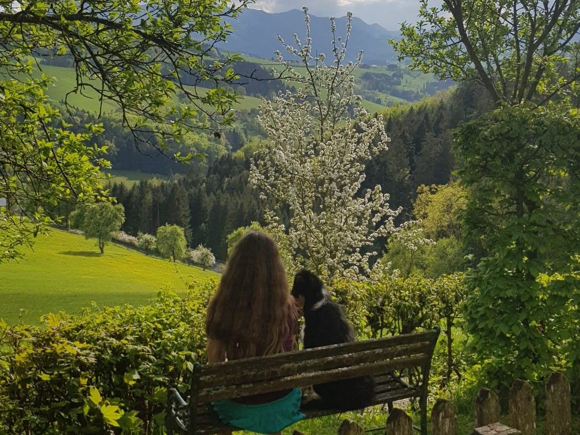 A woman is sitting on a bench with a dog, looking out at a green landscape with blossoming trees and mountains in the background.