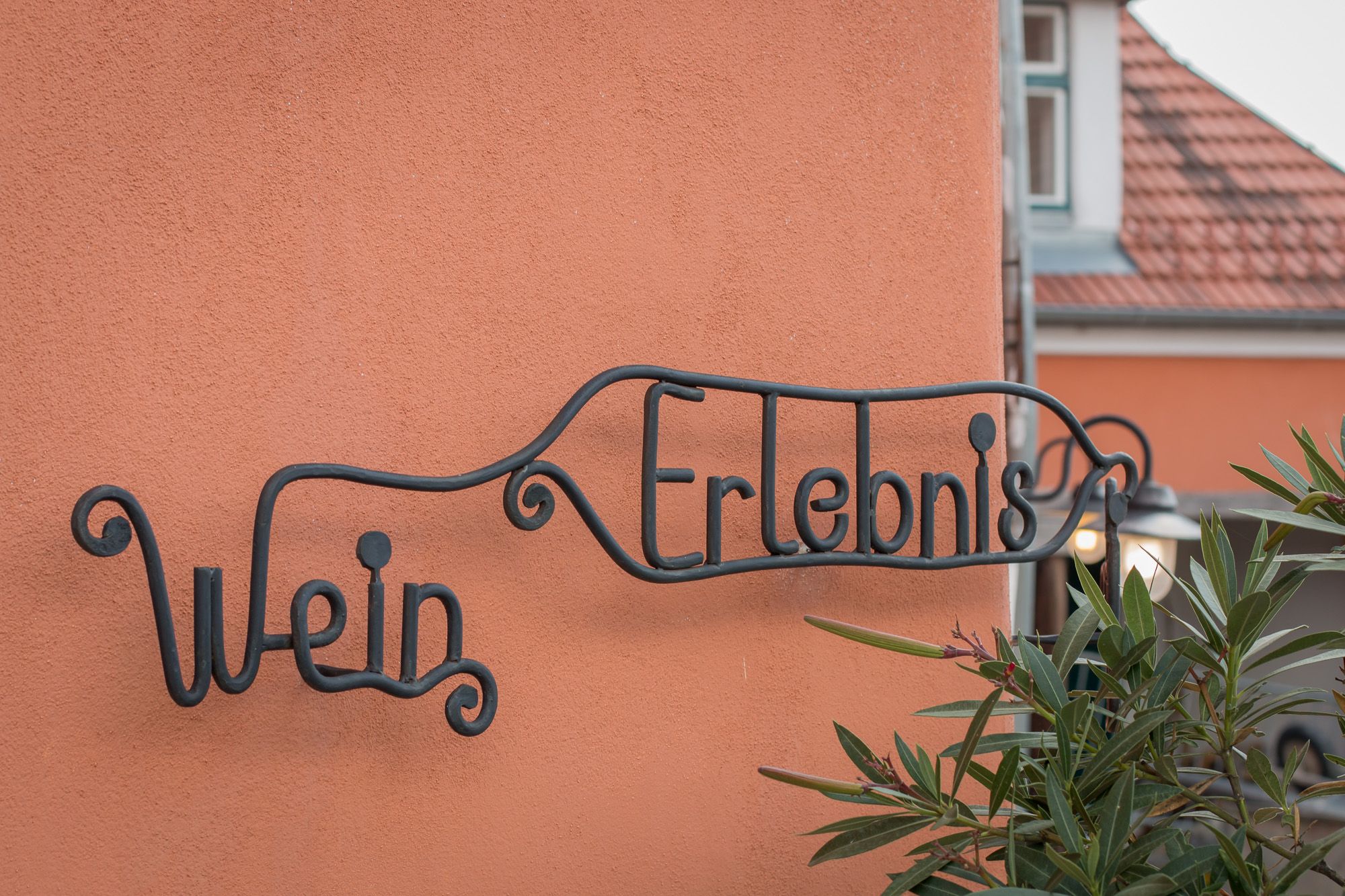 Metal sign with the inscription 'Wine Experience' on an orange wall.