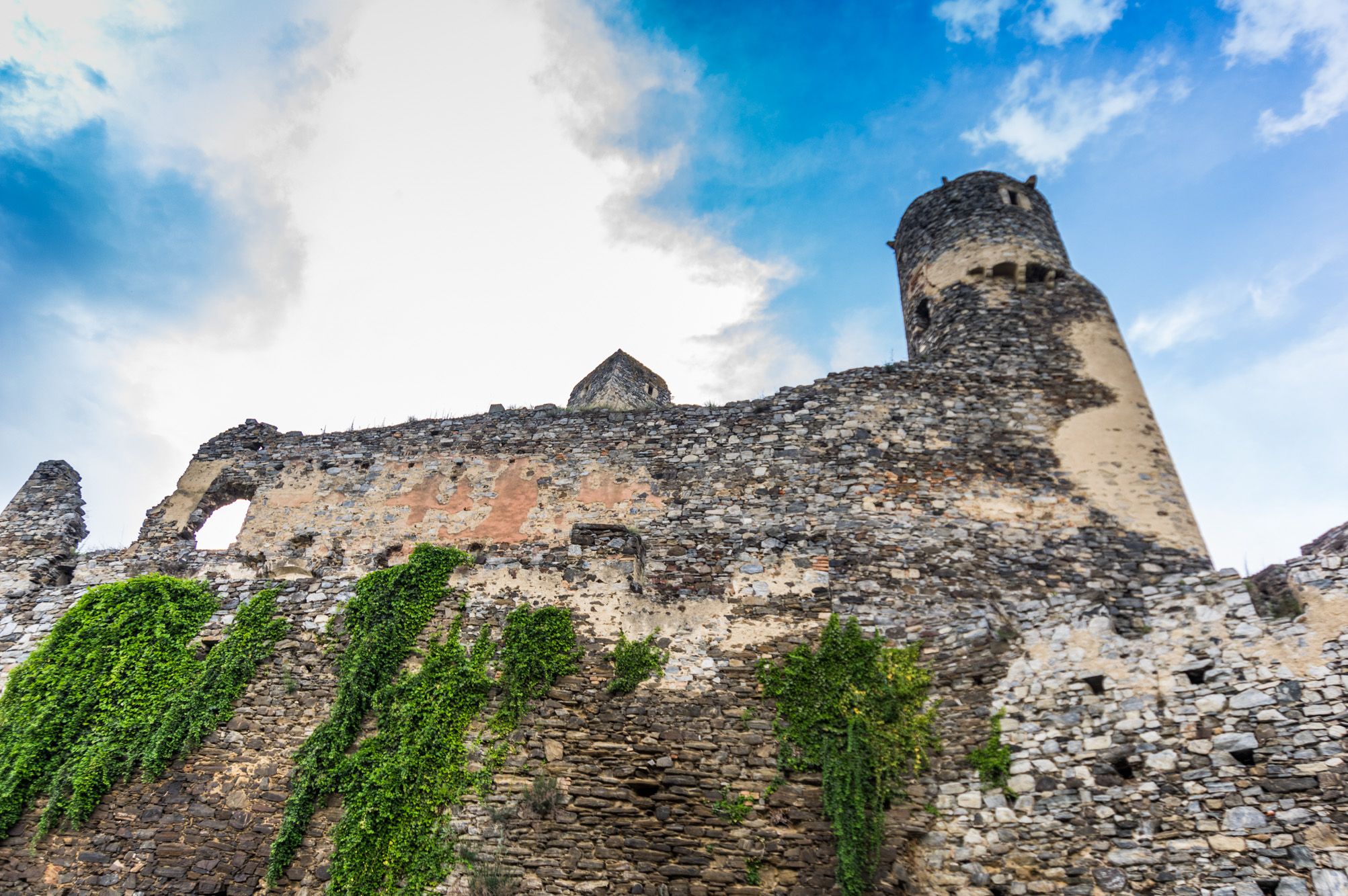 Ruins of Senftenberg Castle with overgrown stone wall and tower.